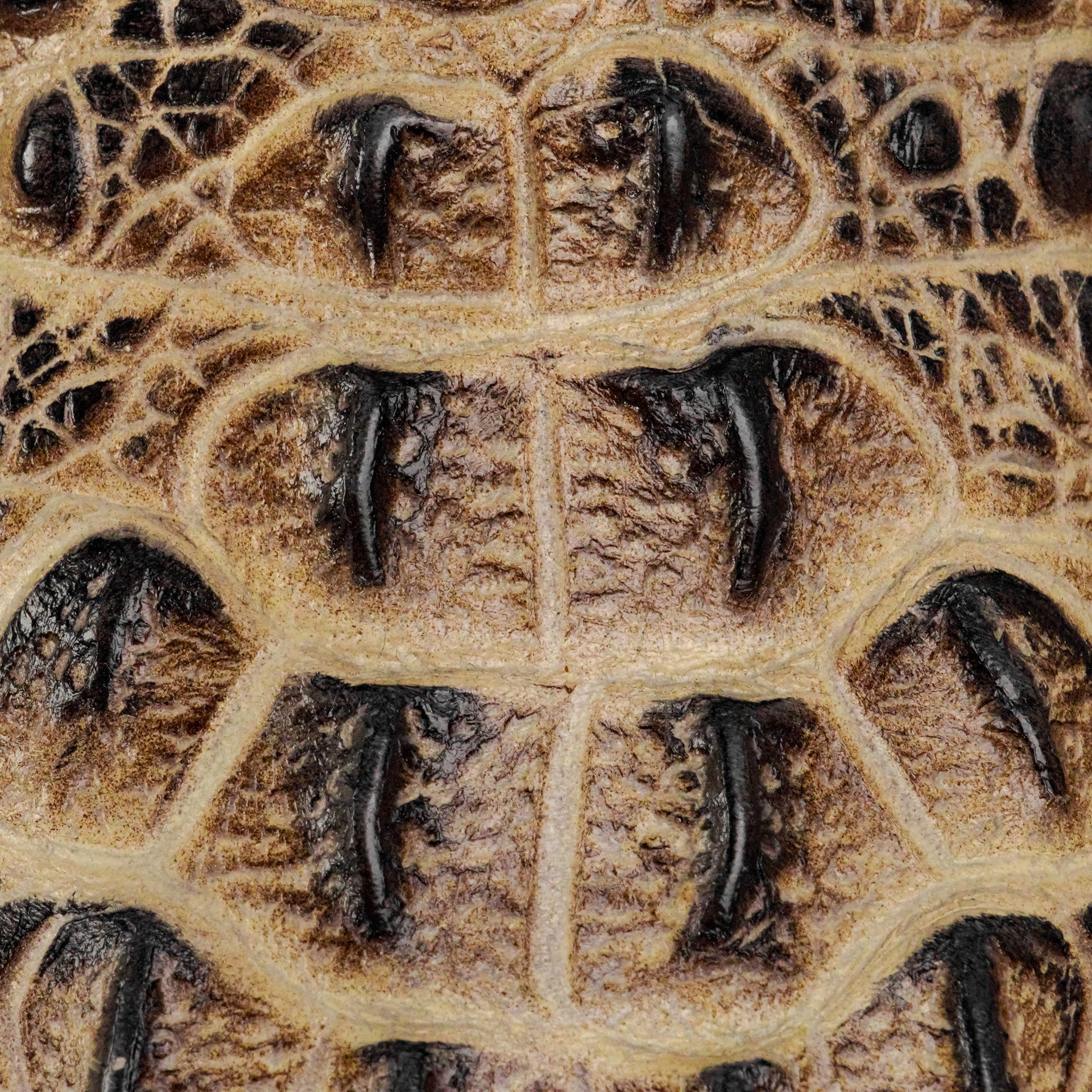 Desert Caiman Neck - Square Toe - Image 4