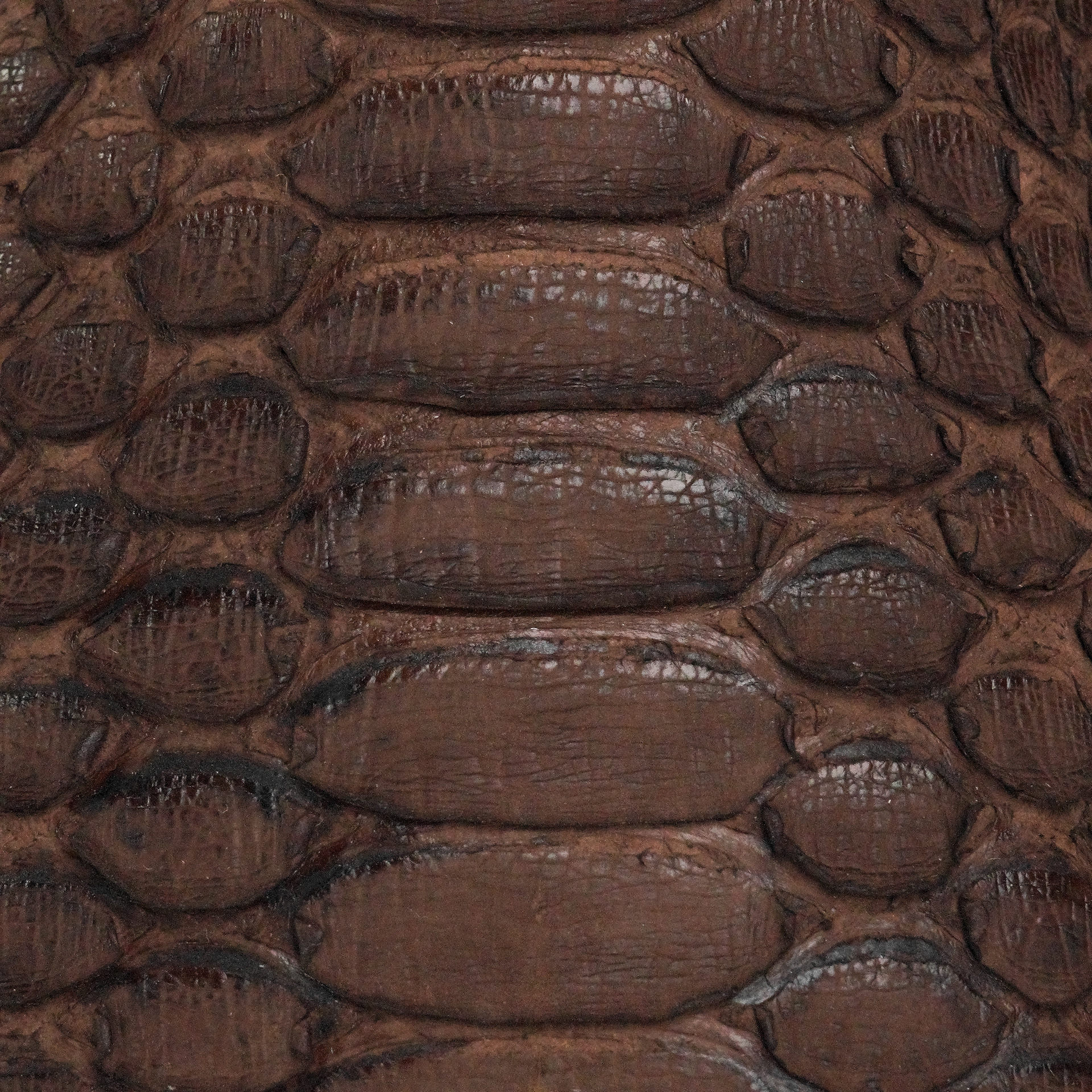 AUTHENTIC Matte Brown Python – Square Toe - Image 4