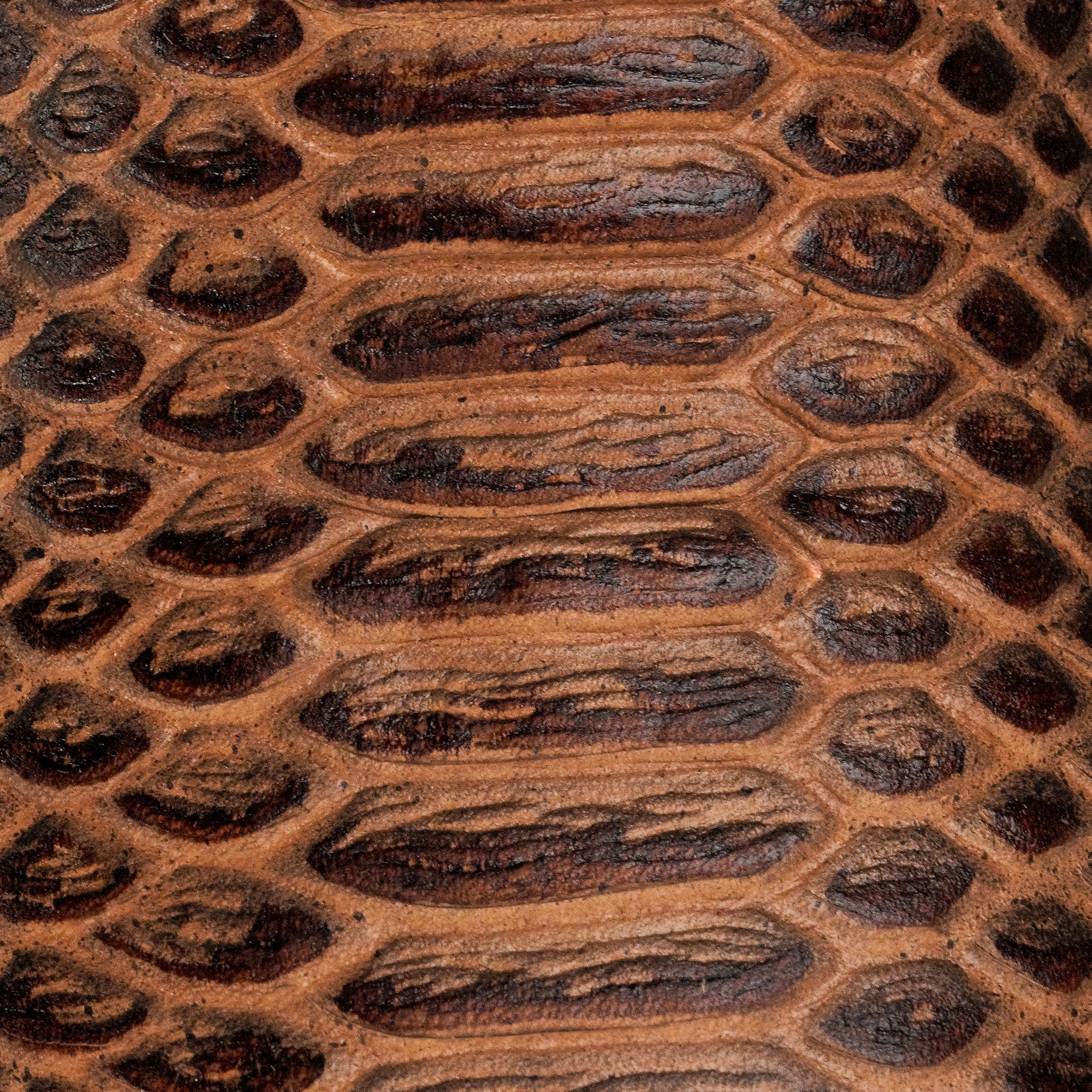 Orix Python – Square Toe - Image 4