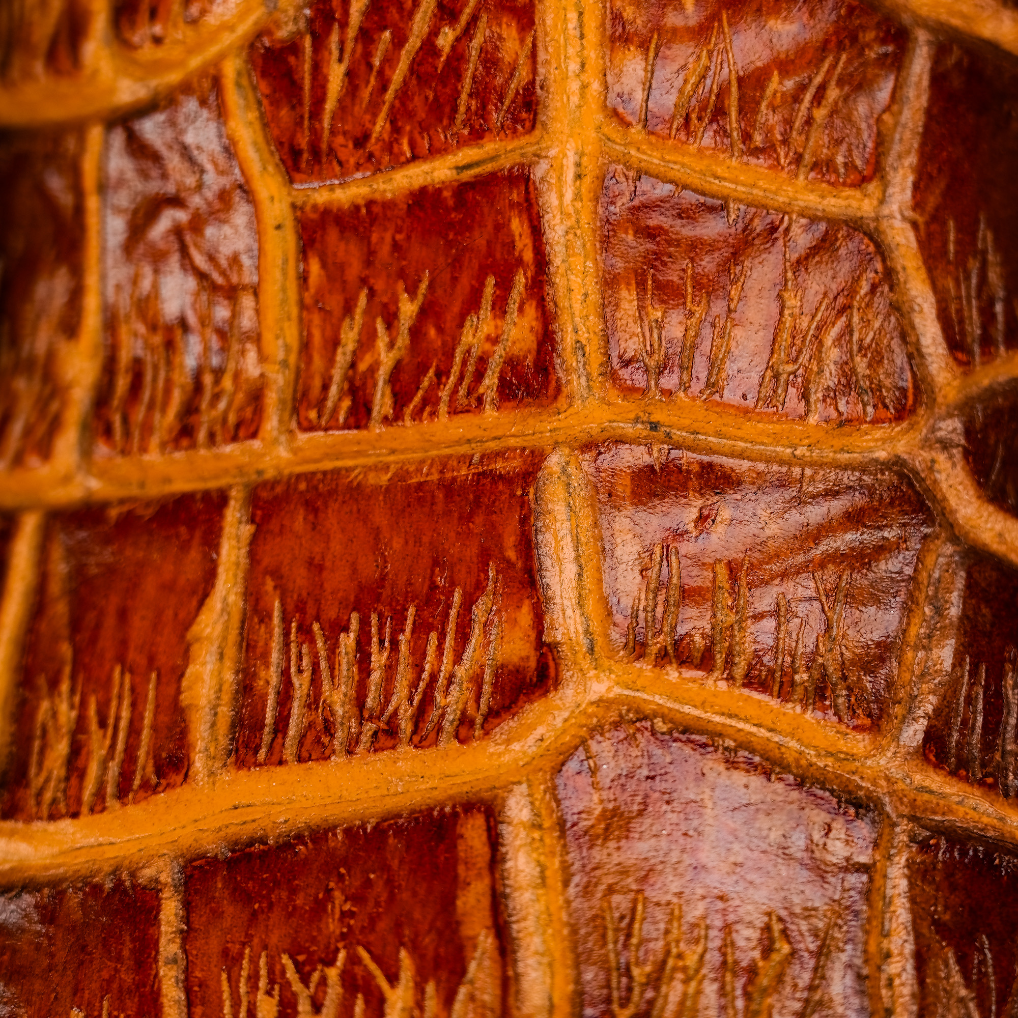 Honey Alligator Belly - Square Toe - Image 4