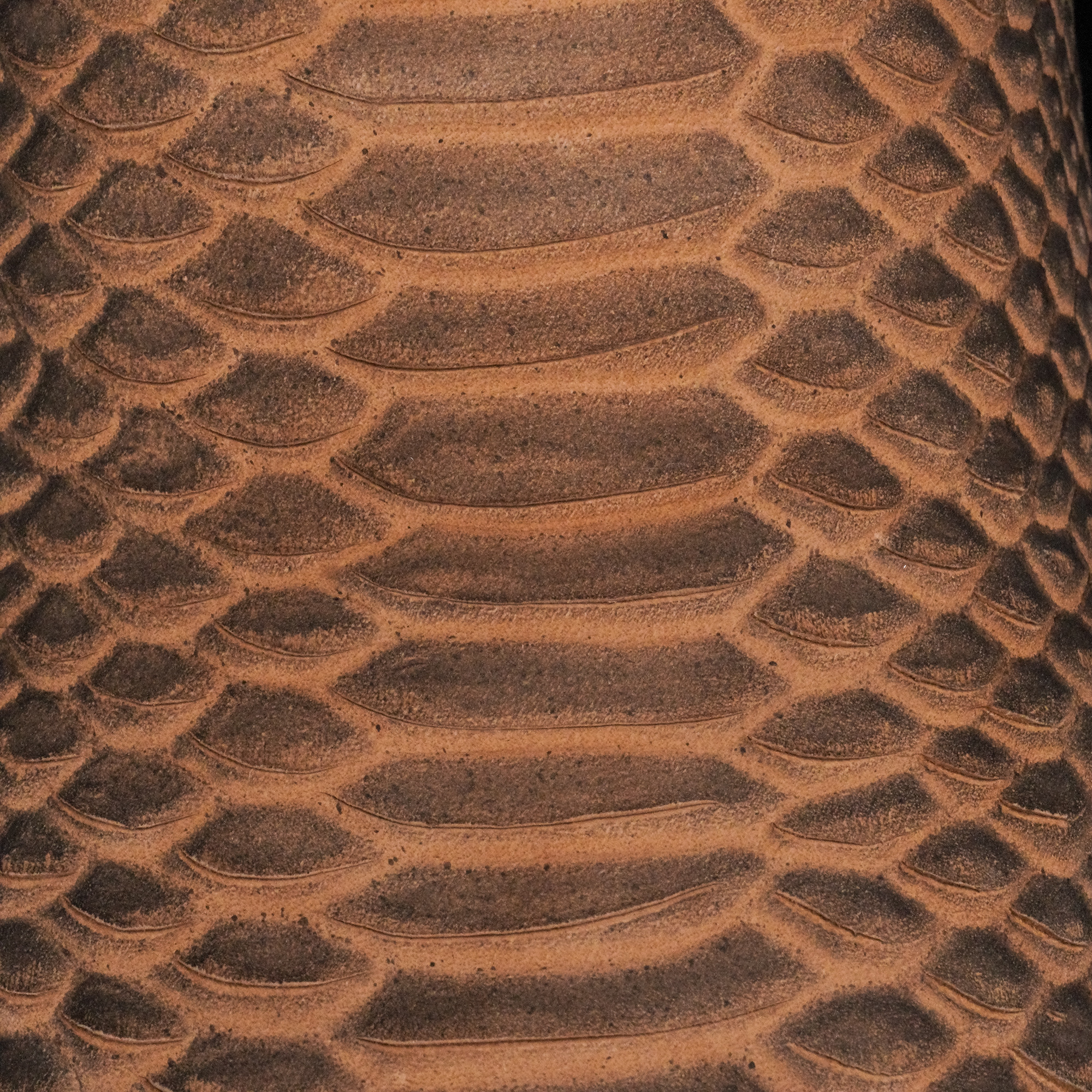 Orix Python – Square Toe - Image 4