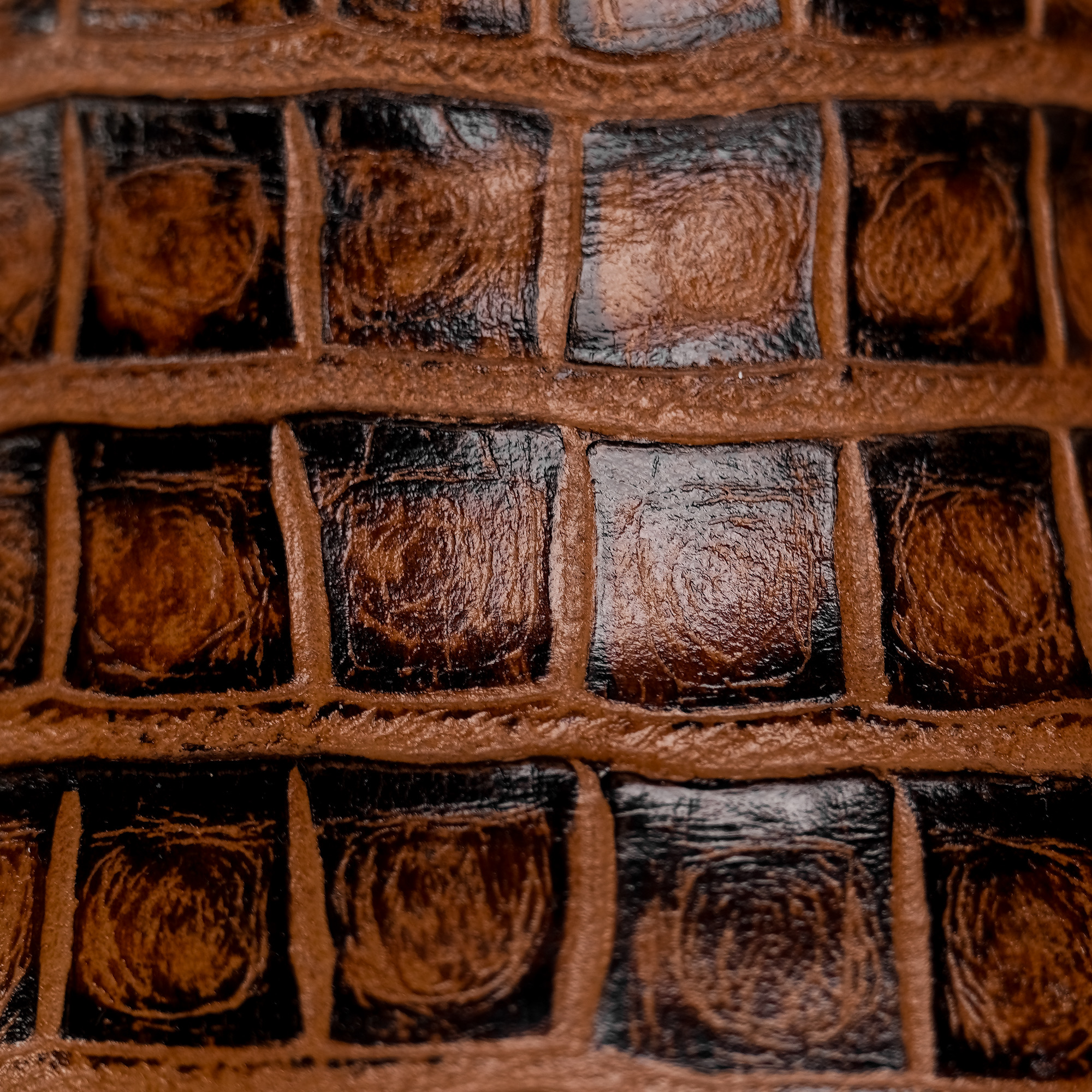 Honey Alligator Belly - Square Toe - Image 4