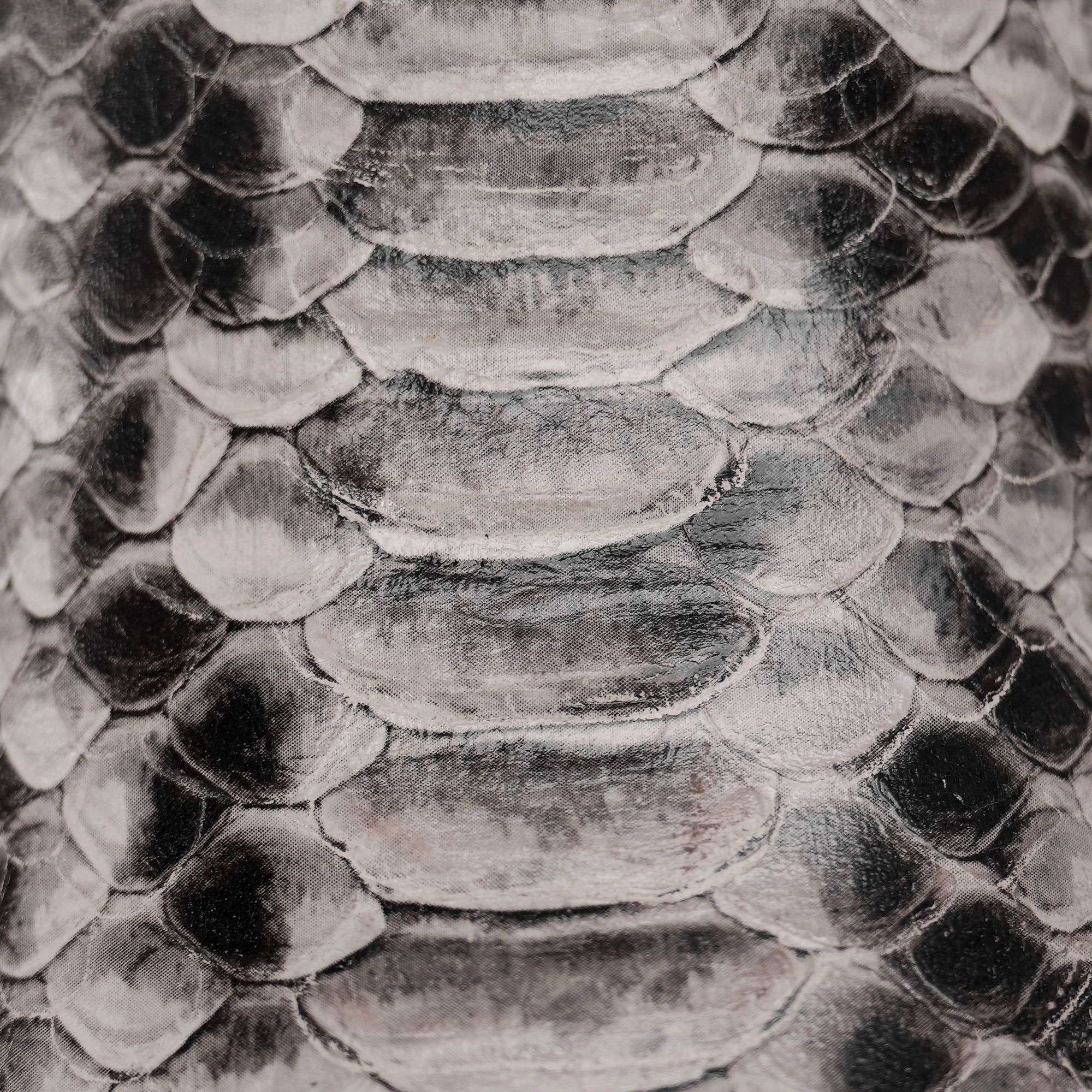 Natural Python – Square Toe - Image 4