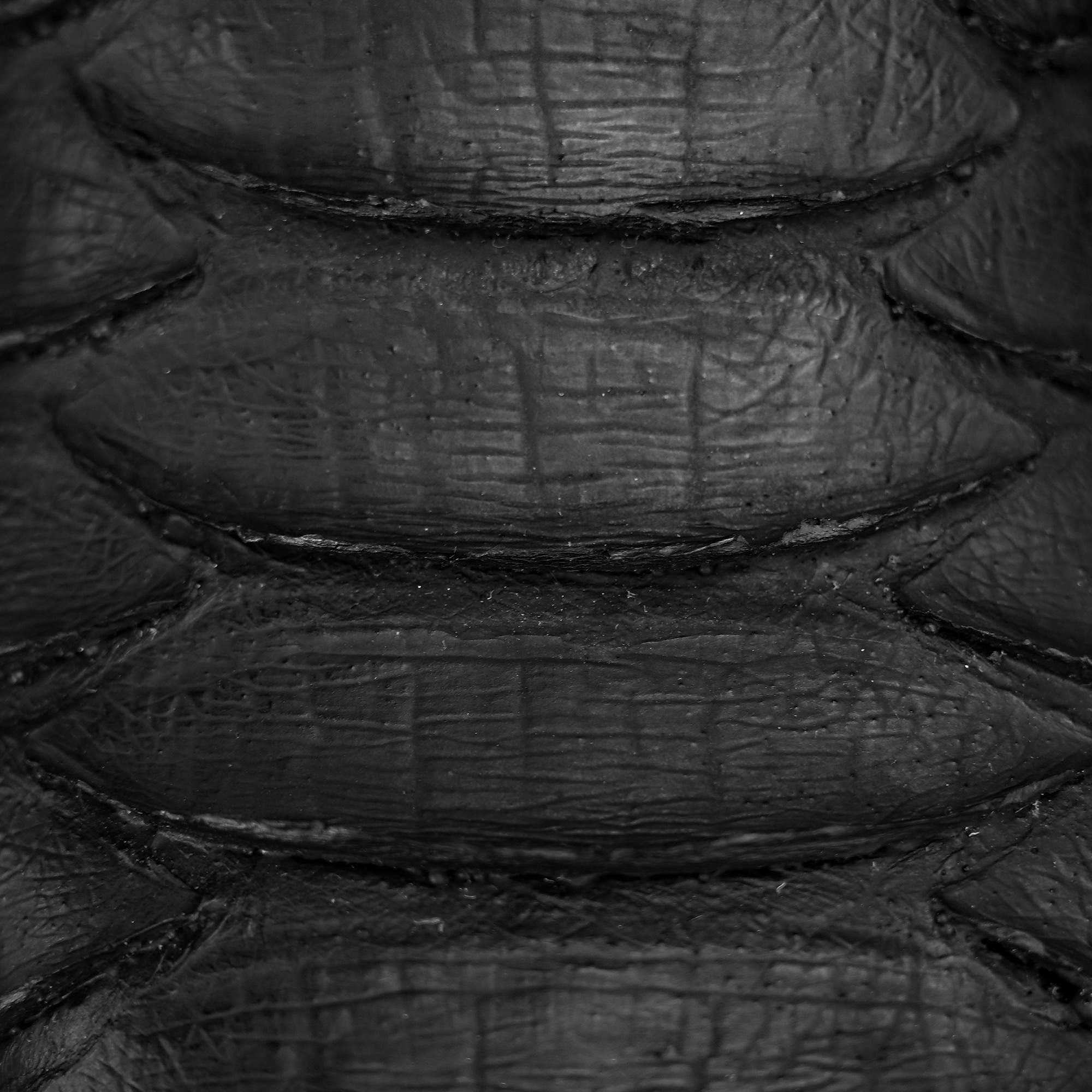 Matte Black Giant Python - Square Toe - Image 4