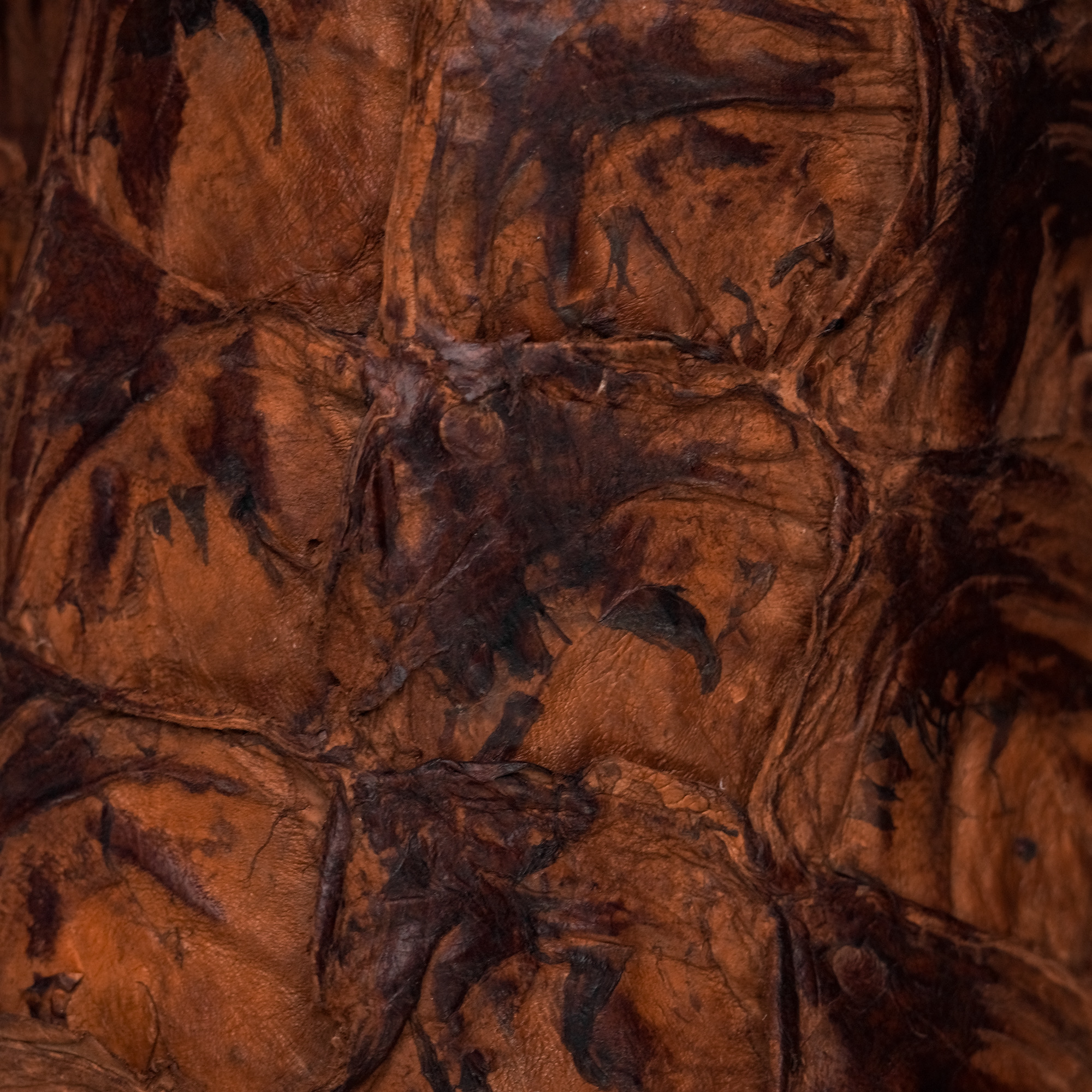 AUTHENTIC Brown Pirarucu – Square Toe - Image 3