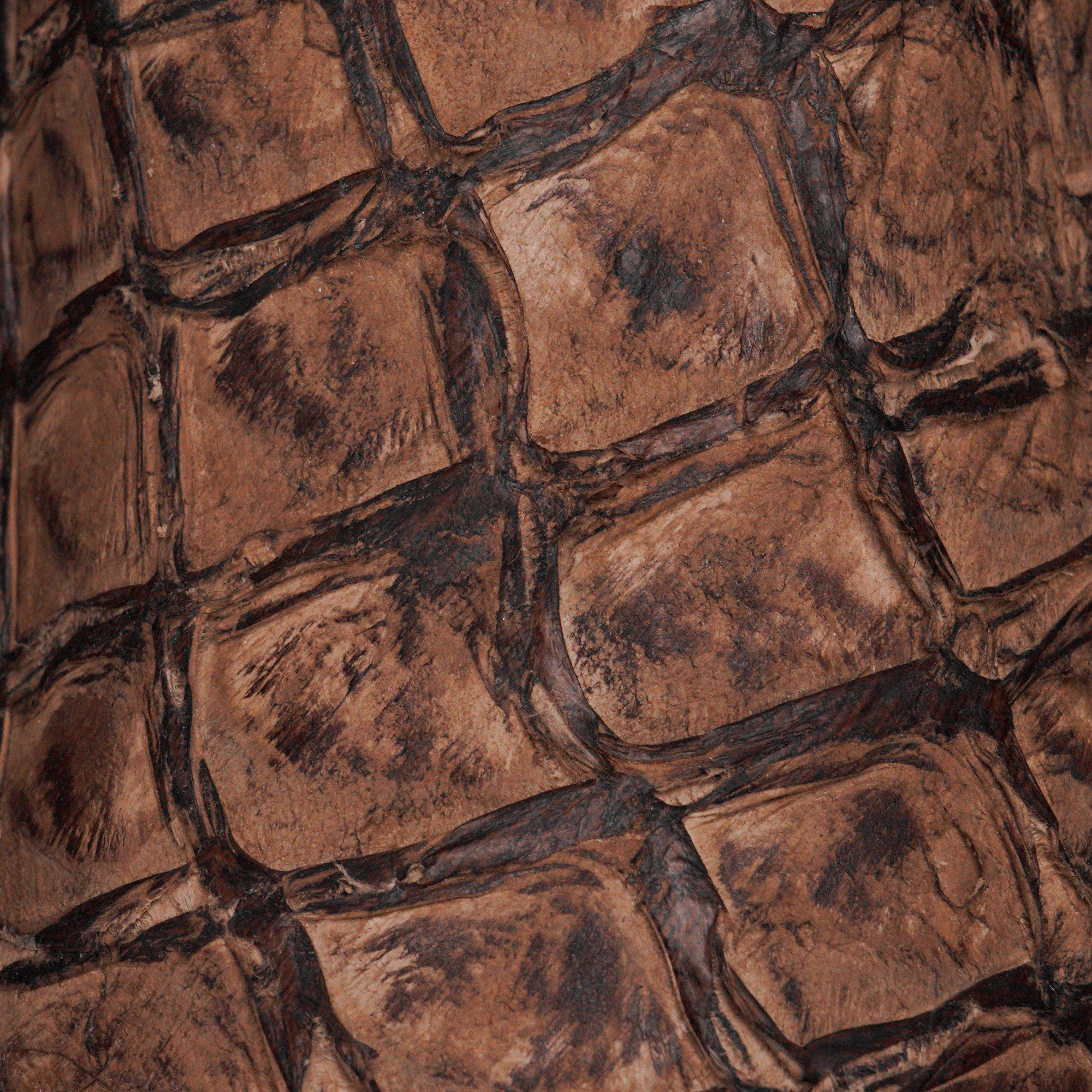 AUTHENTIC Brown Pirarucu – Square Toe - Image 4