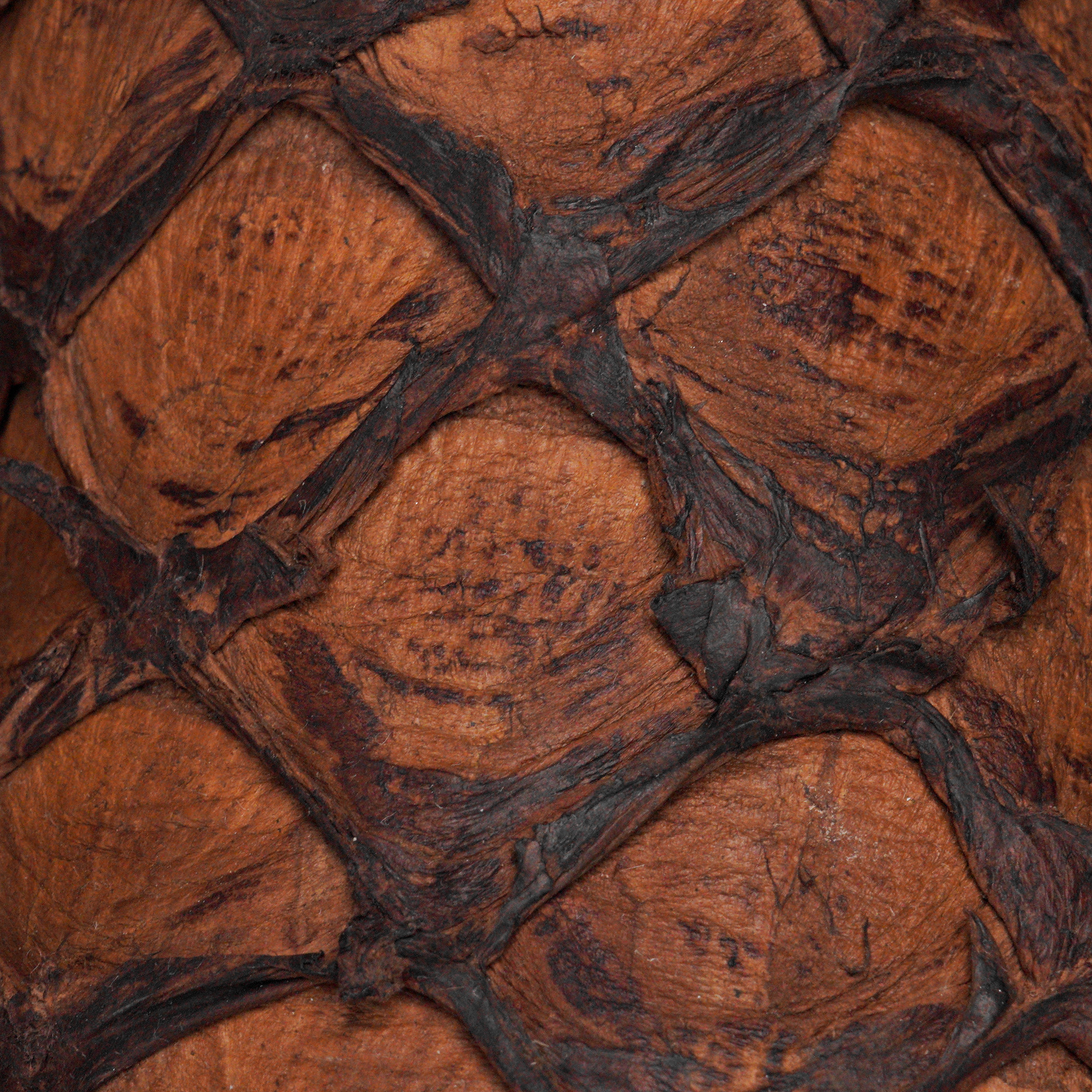 AUTHENTIC Brown Pirarucu – Square Toe - Image 3