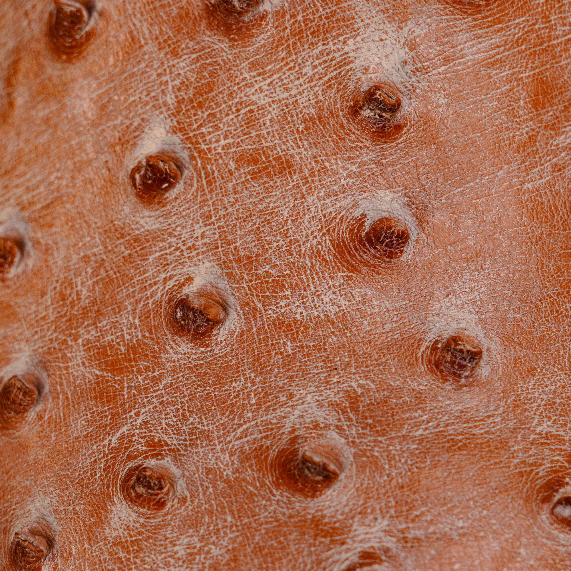 Genuine Rio Orix Full Quill Ostrich - Square Toe (FREE Belt & Wallet) - Image 4