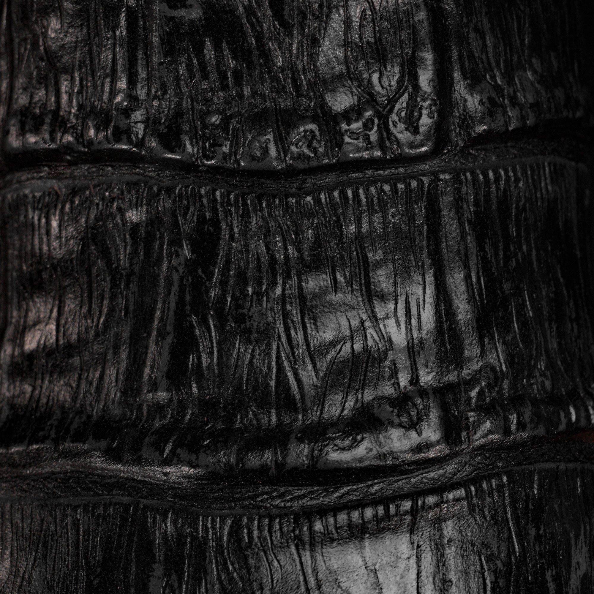 Gray Alligator Belly - Square Toe - Image 3