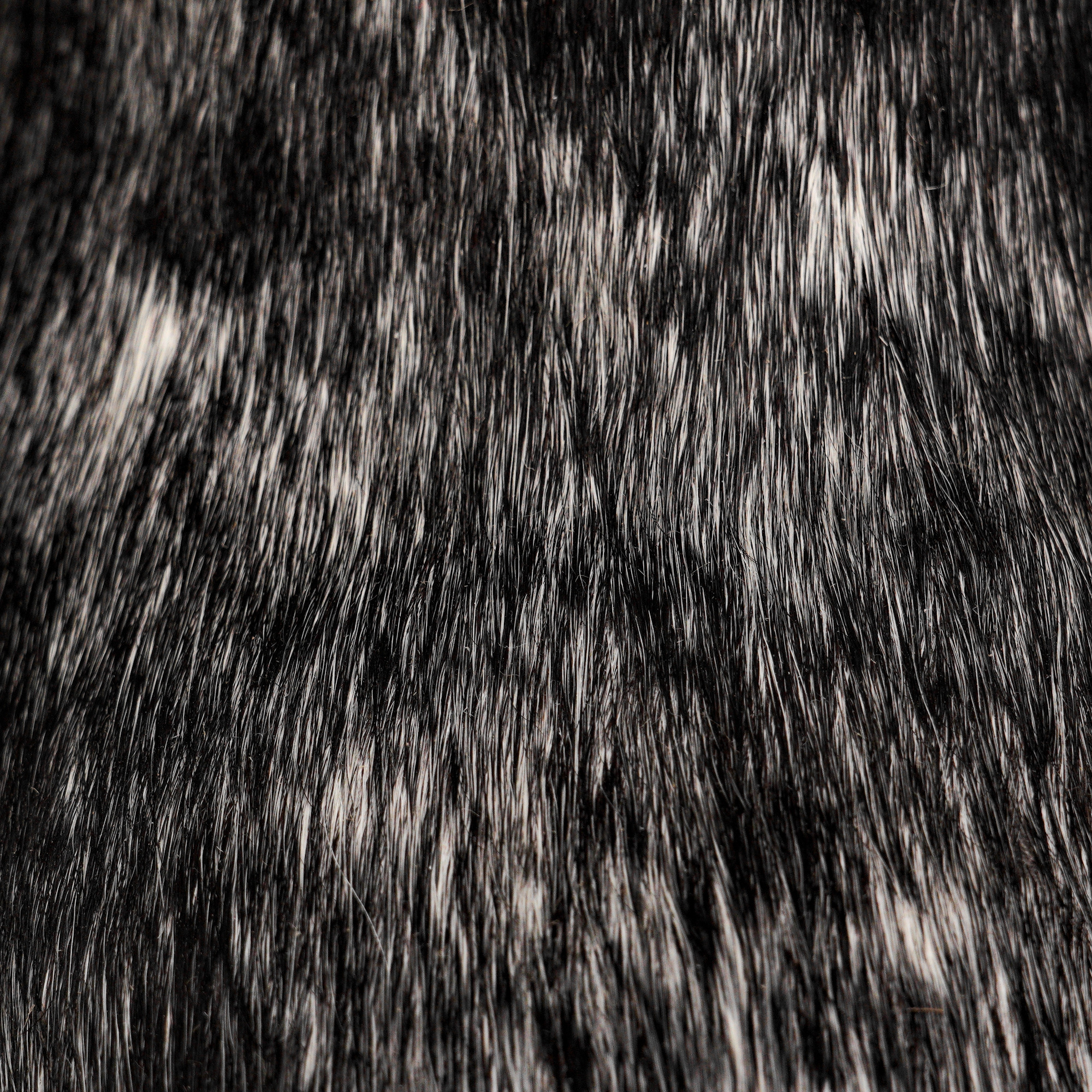 Genuine Hair on Hide – Square Toe - Image 4