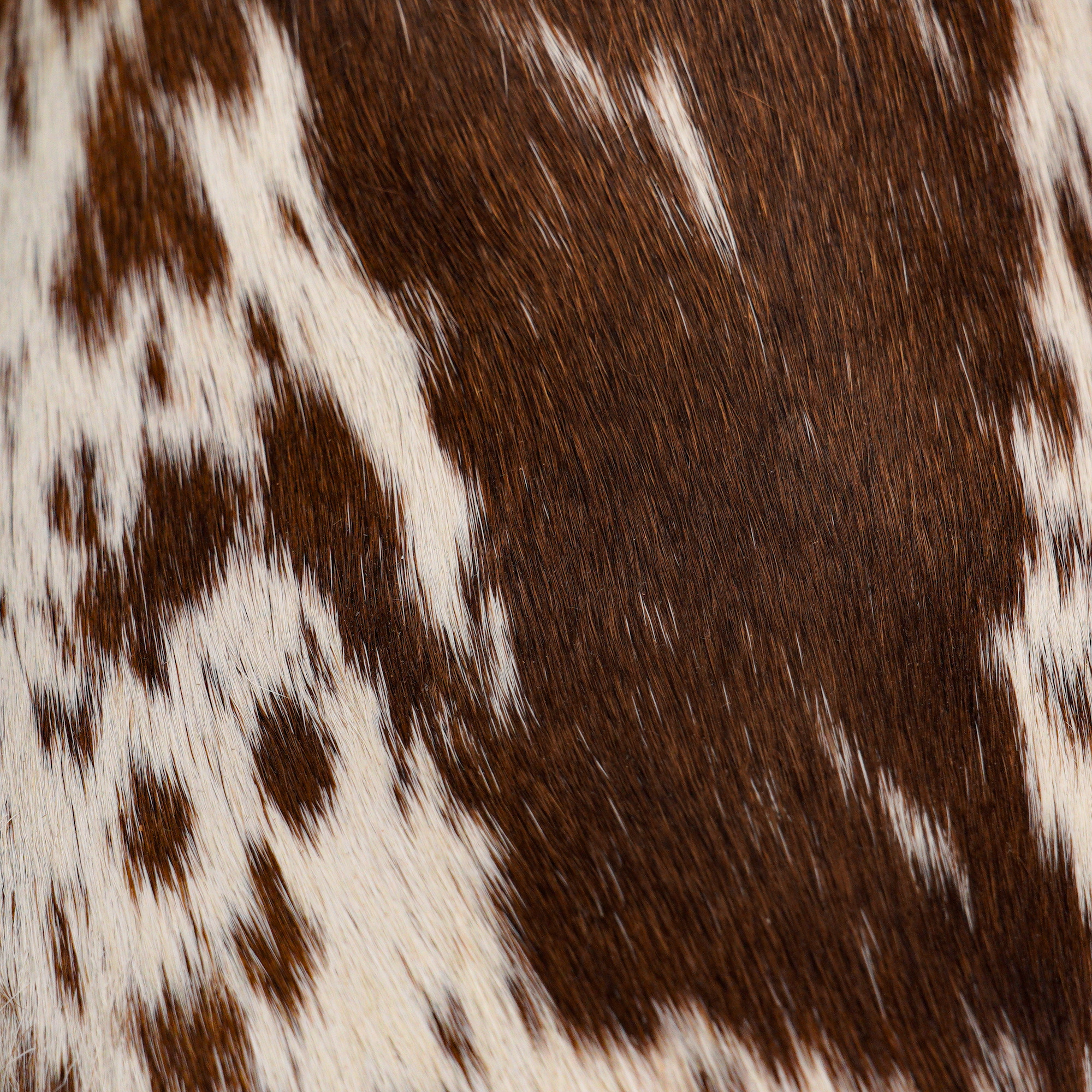 Genuine Hair on Hide – Square Toe - Image 4