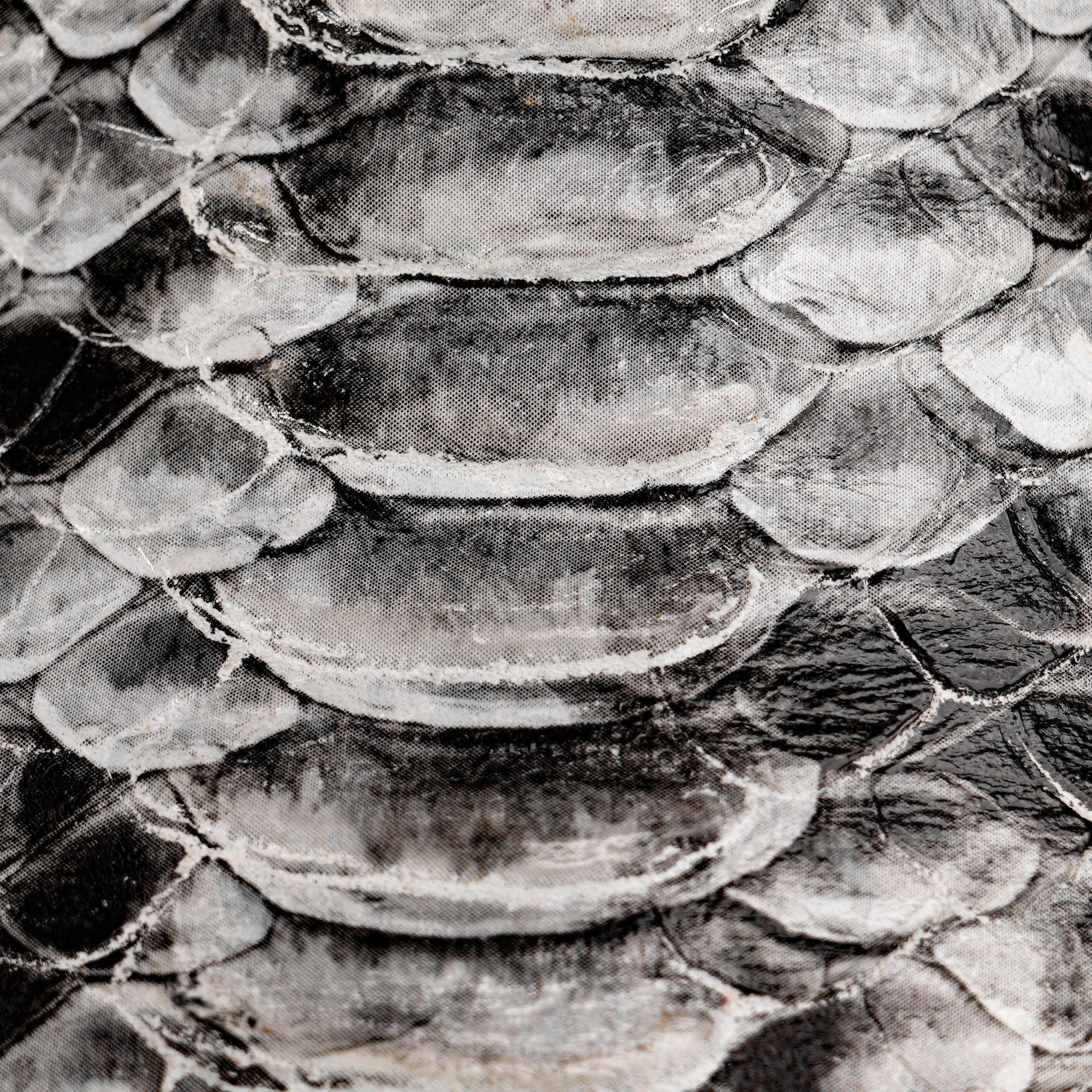 Natural Python – Square Toe - Image 3