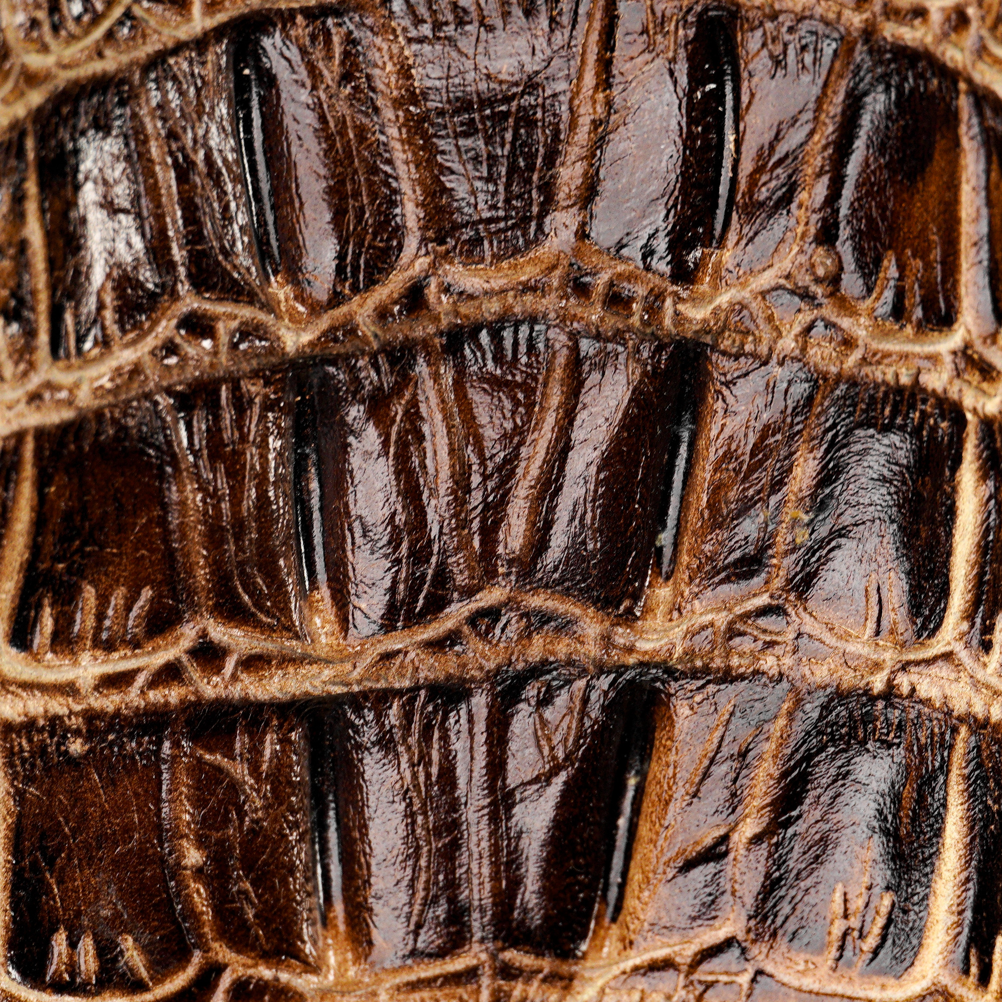 Desert Caiman Tail - Square Toe - Image 3