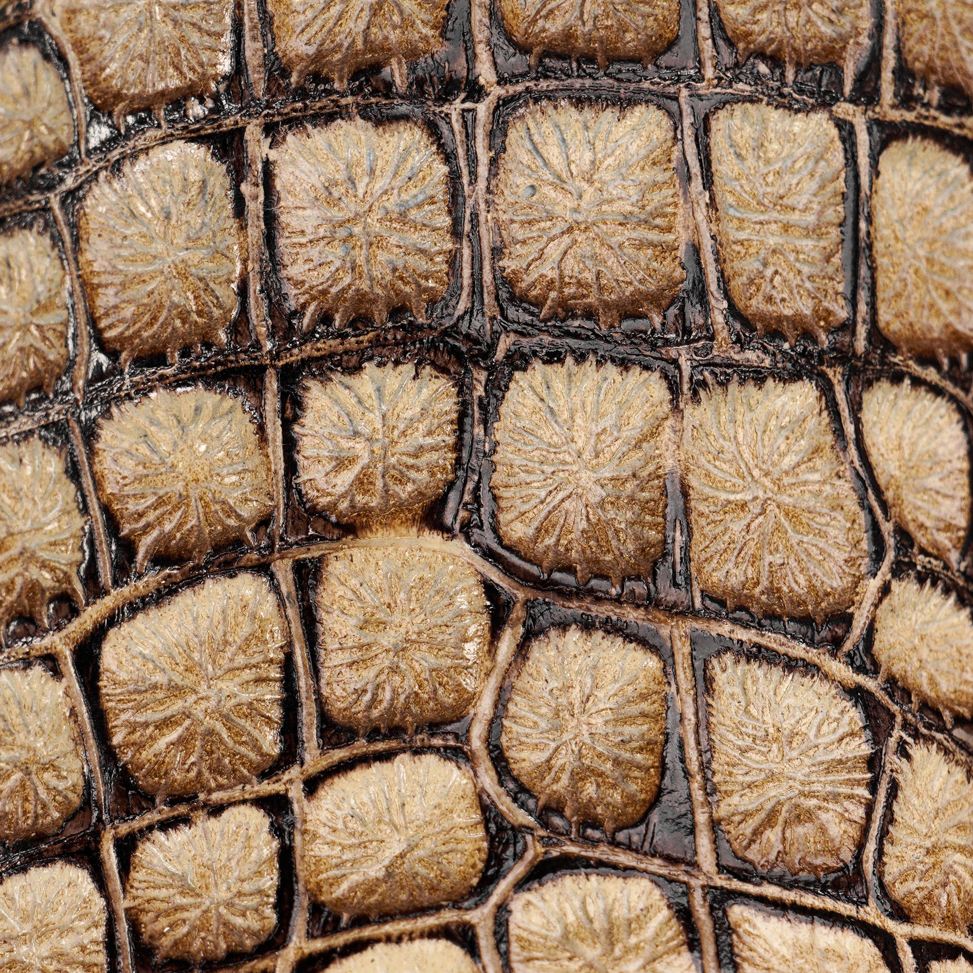 Desert Argentine Caiman - Square Toe - Image 3