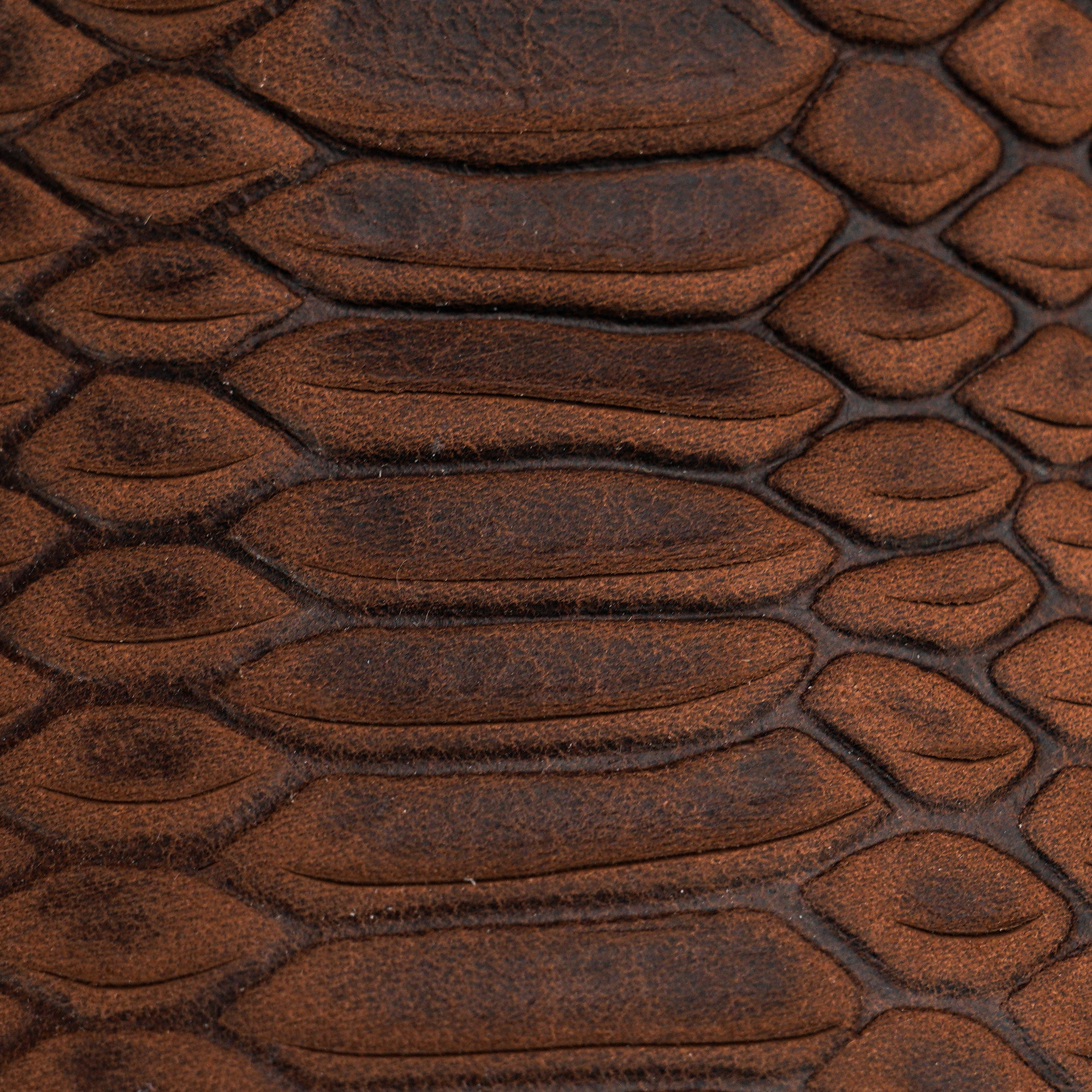 Matte Brown Python - Square Toe - Image 3
