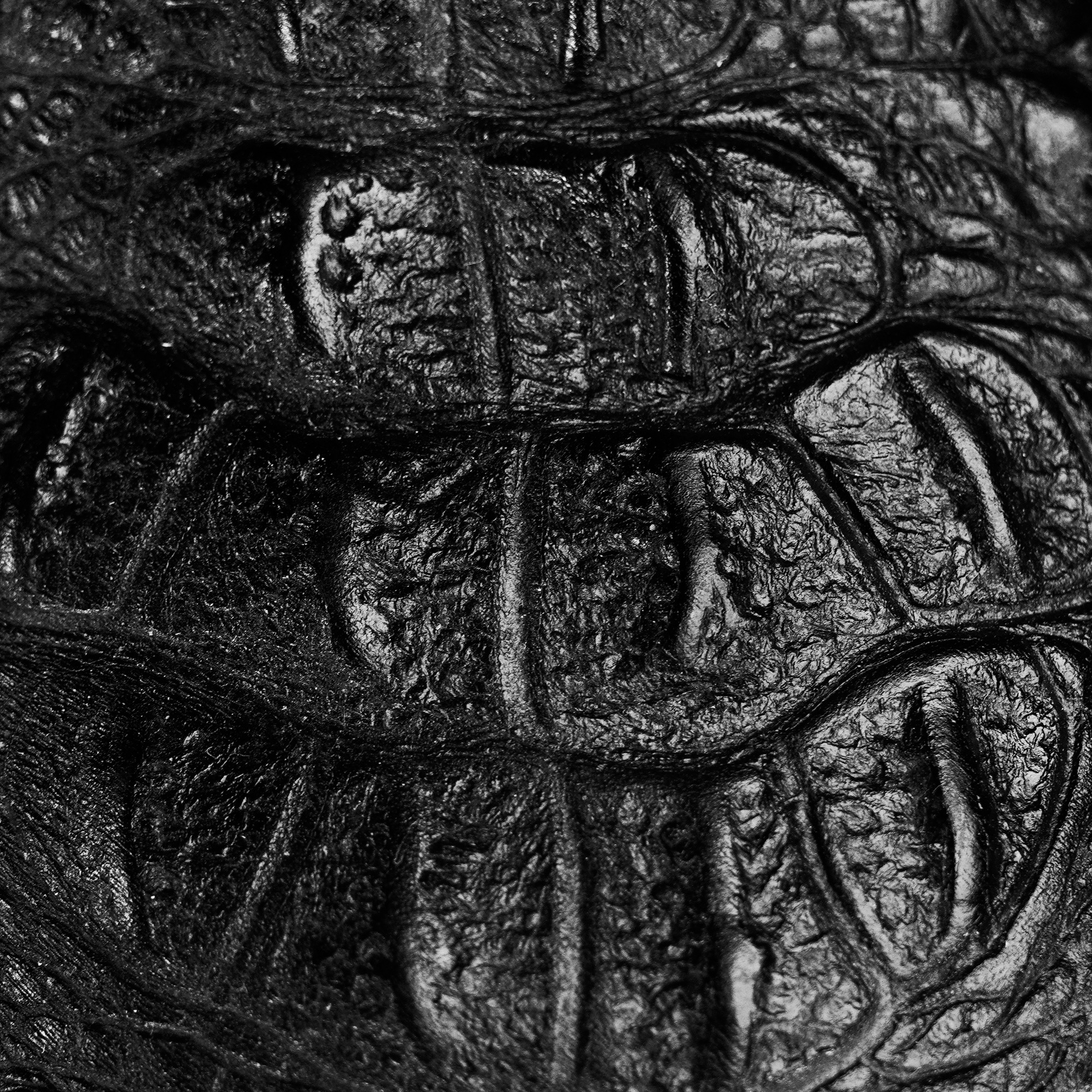 Black Caiman Neck – Square Toe - Image 3