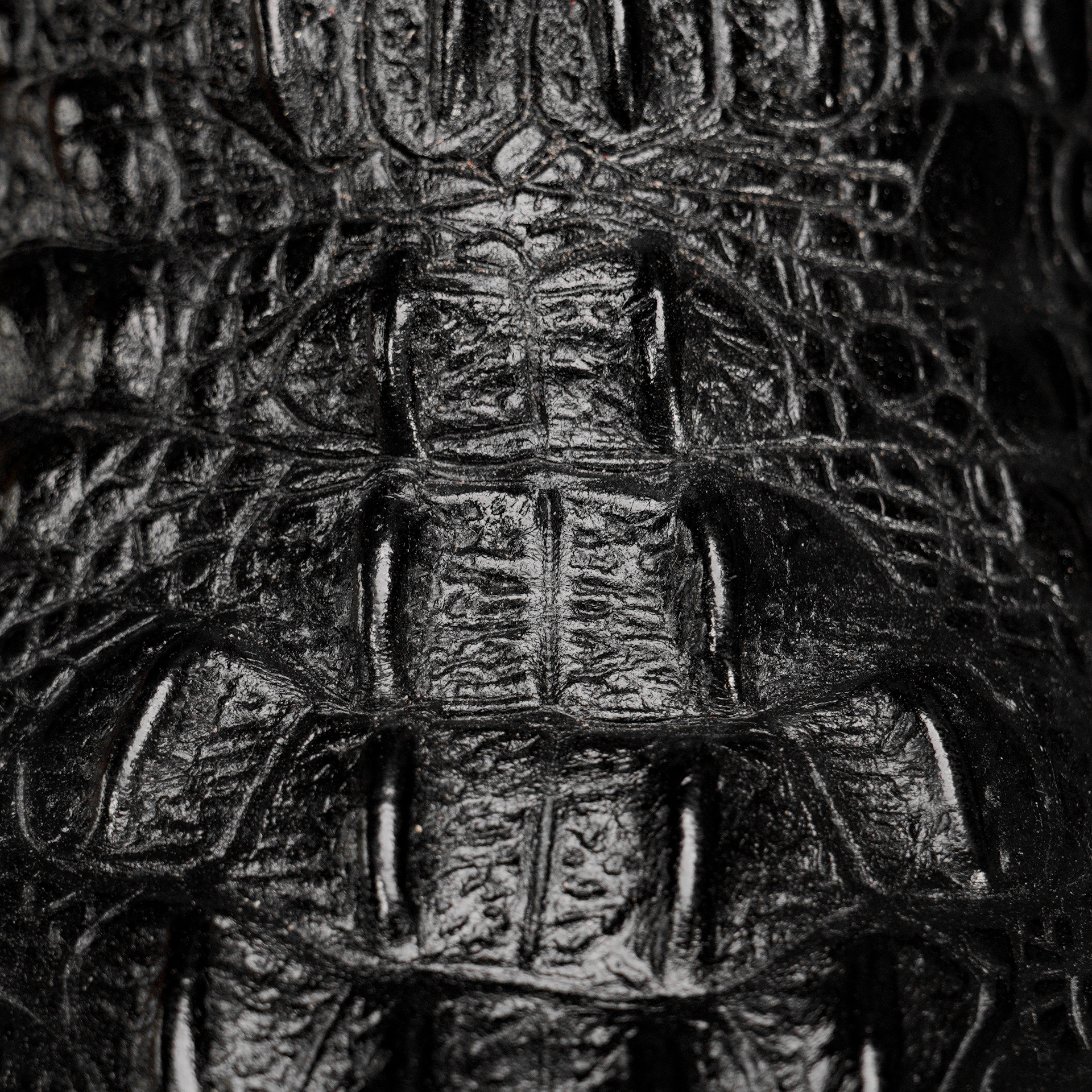 Black Caiman Neck - Square Toe - Image 4