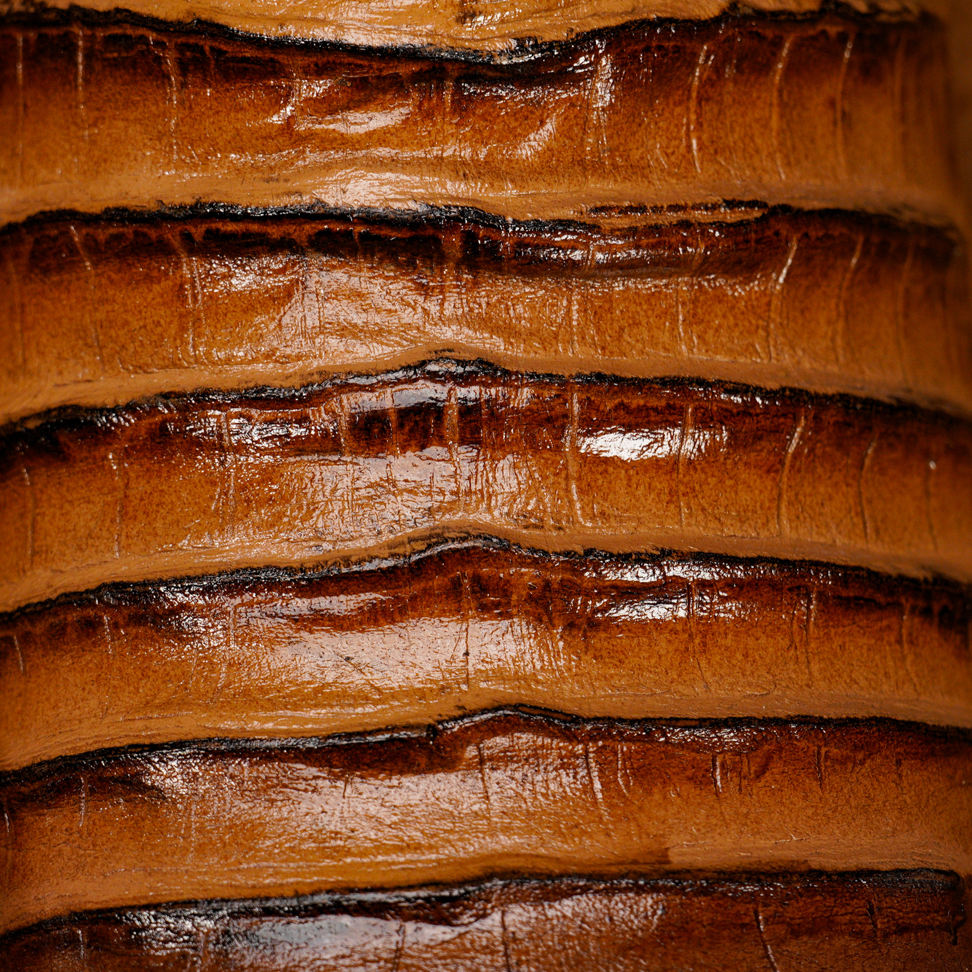 Full Honey Caiman Belly - Square Toe - Image 4