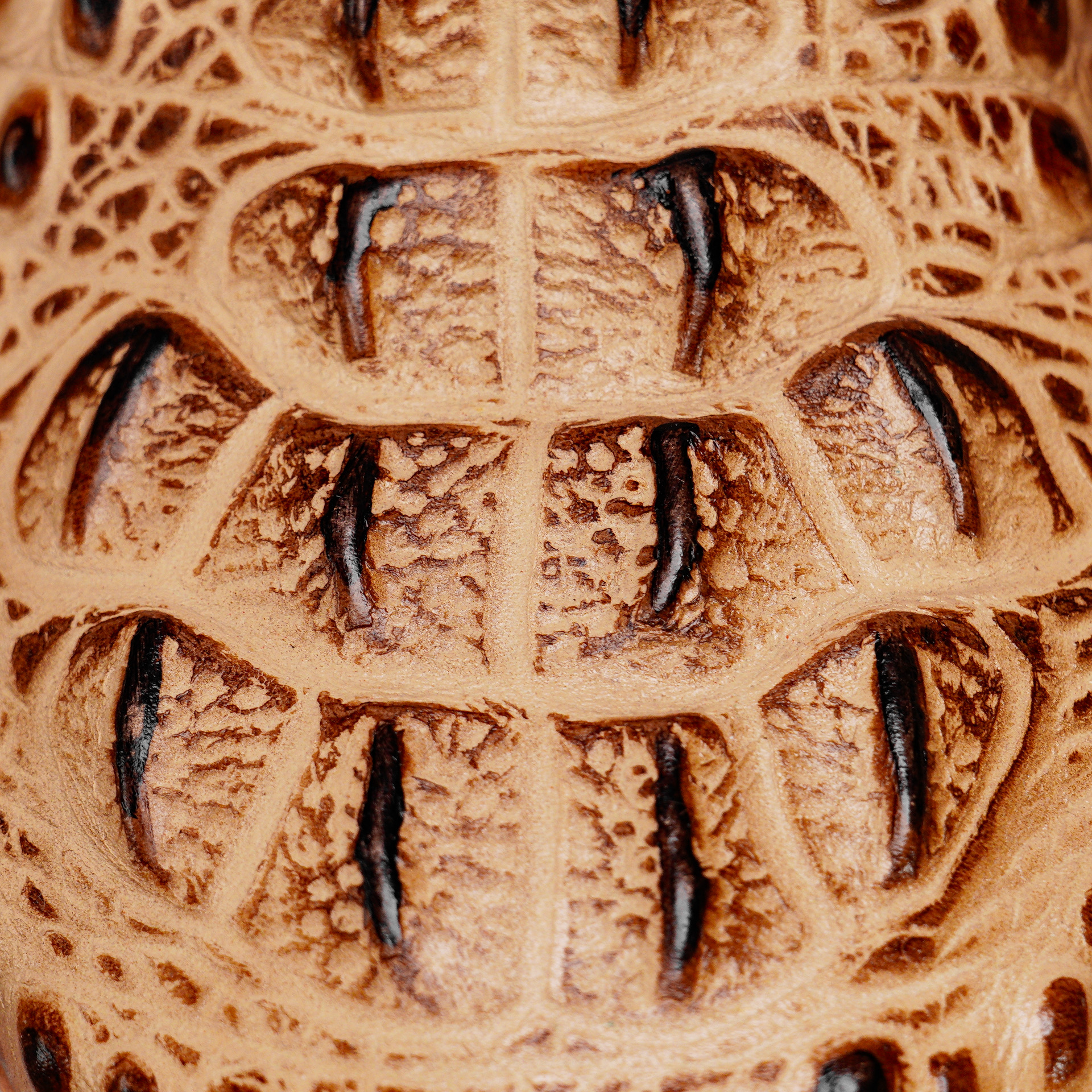 Orix Caiman Horn Neck – Square Toe - Image 4