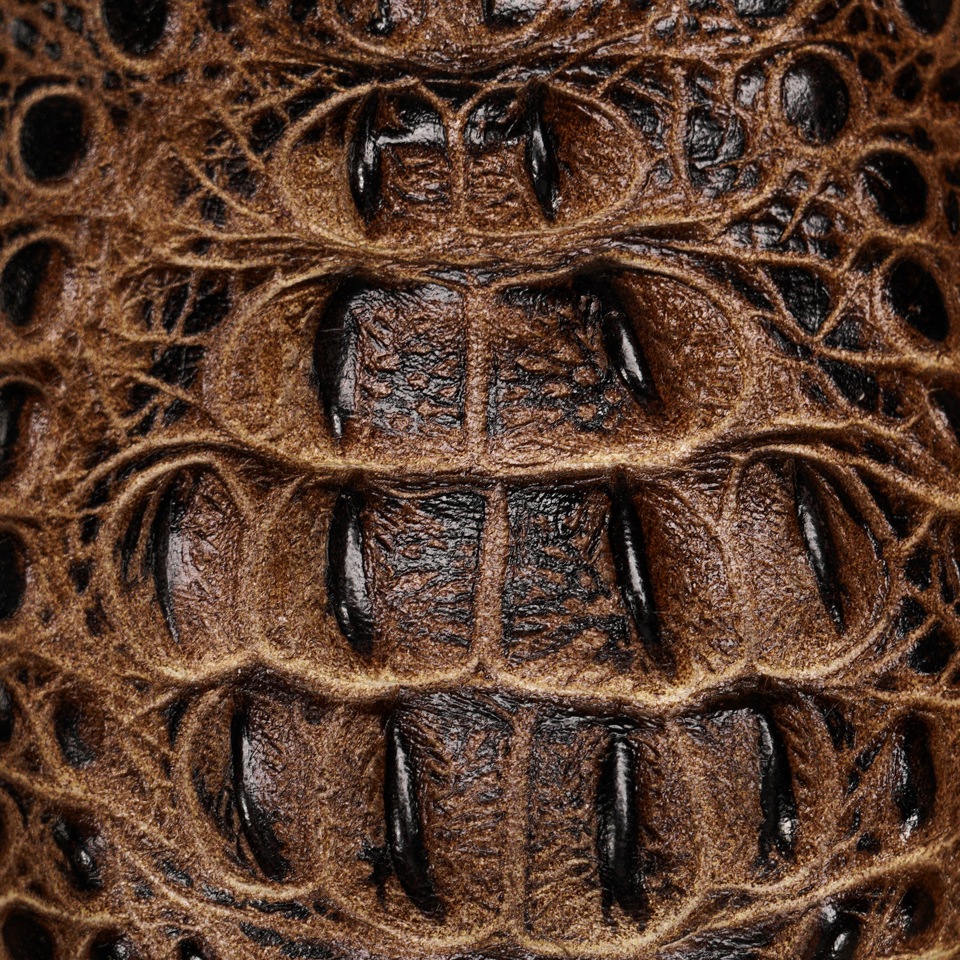 Desert Caiman Neck - Square Toe - Image 4