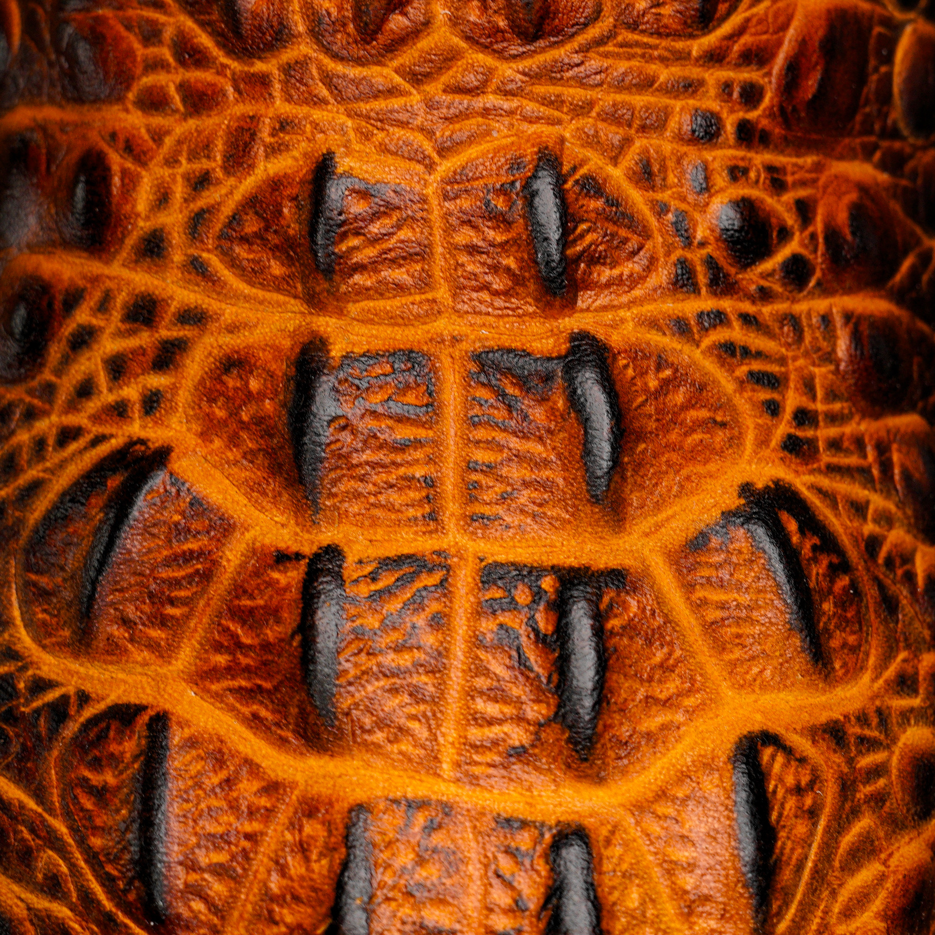 Cognac Caiman Neck - Square Toe - Image 4