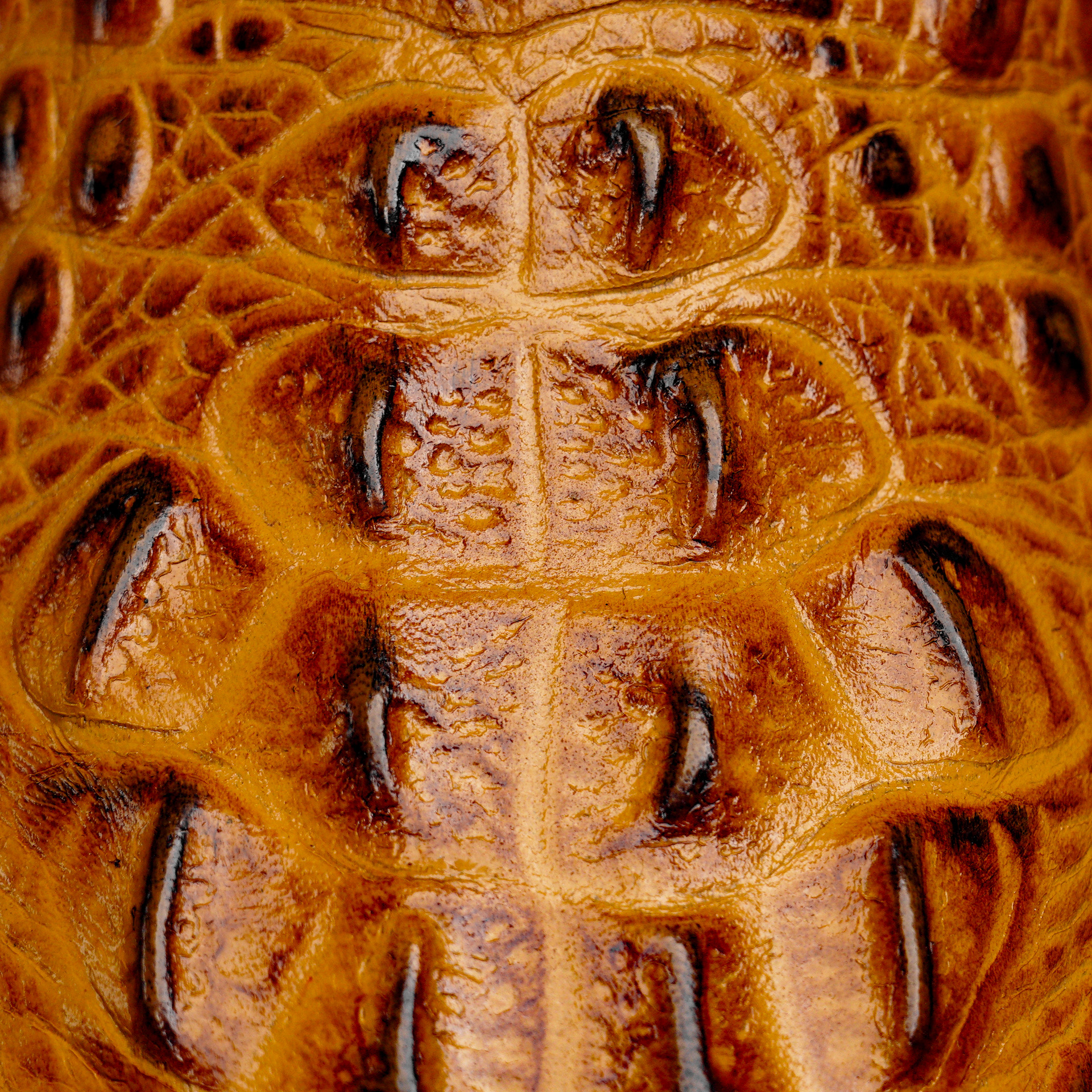 Honey Caiman Neck - Square Toe - Image 4