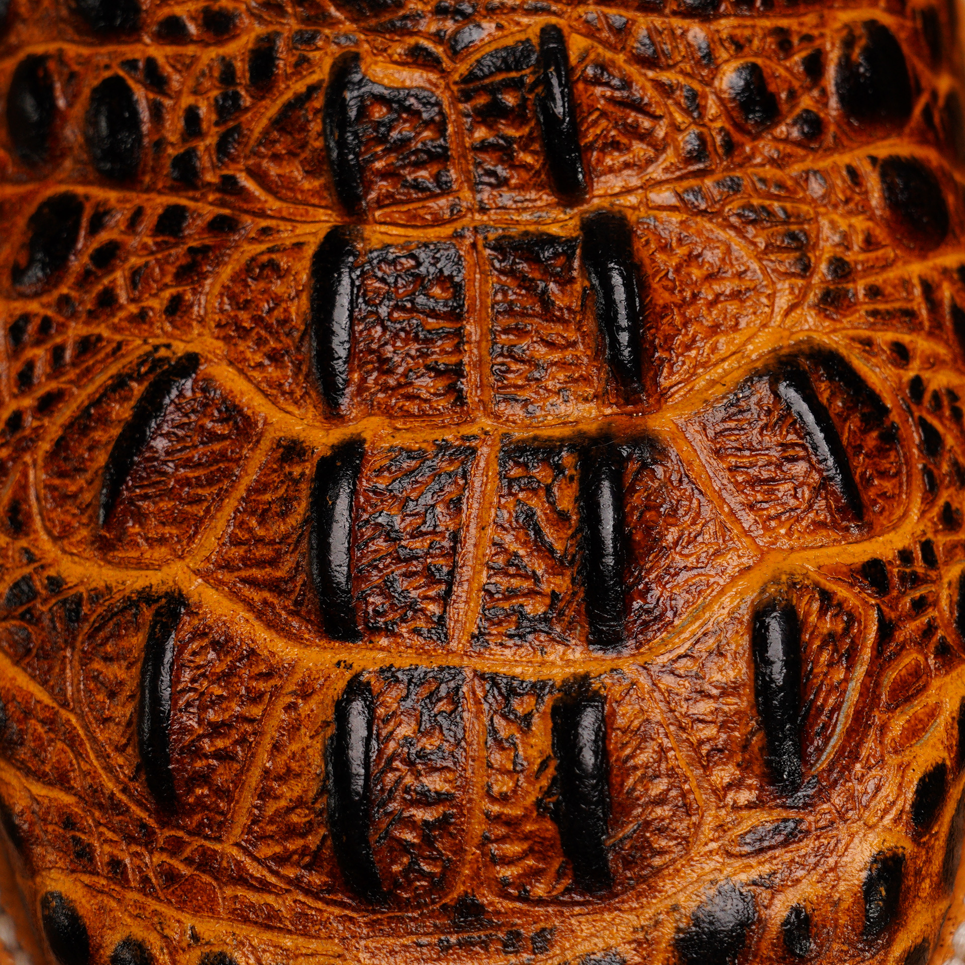 Honey Caiman Neck - Square Toe - Image 4