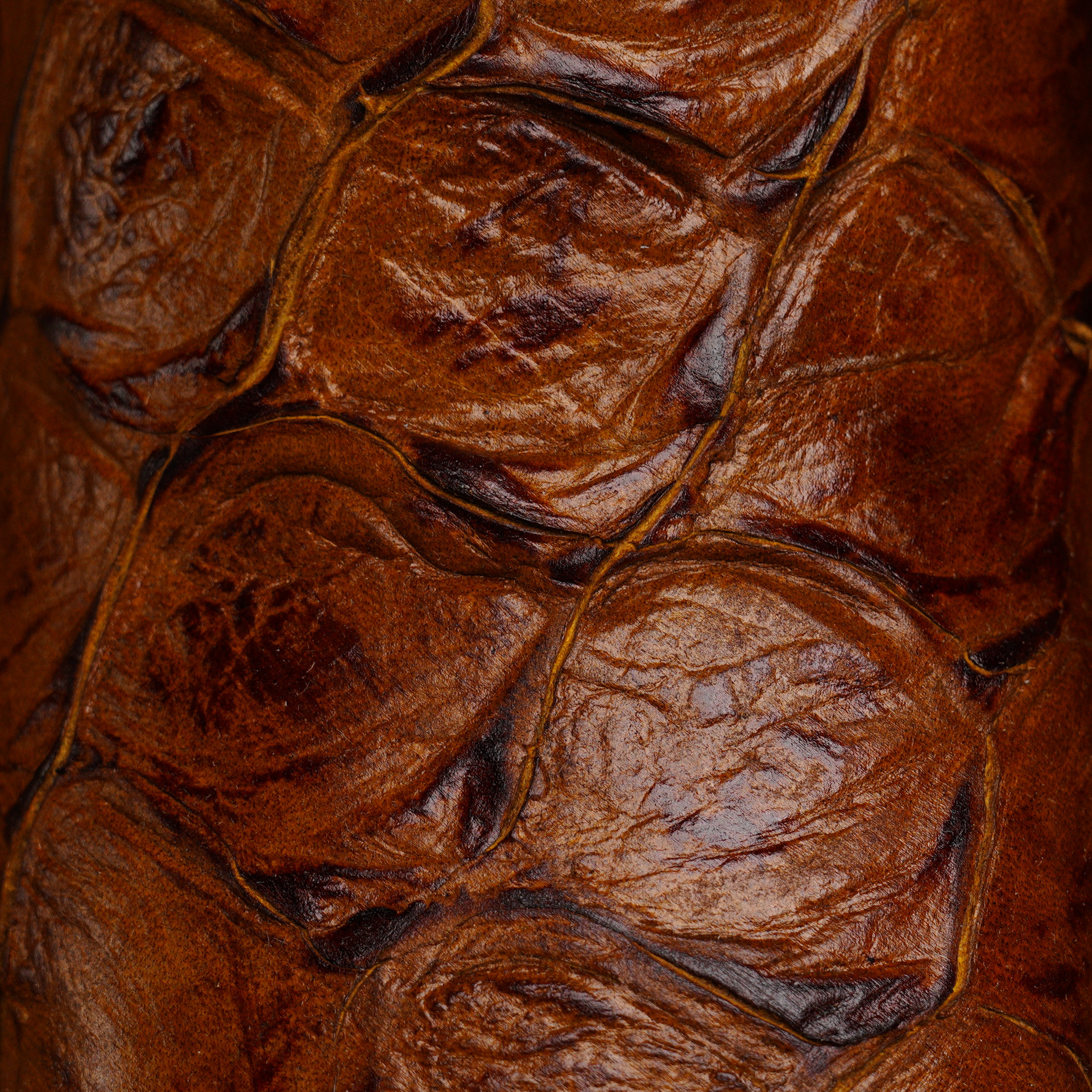 Honey Fish Scale – Square Toe - Image 4