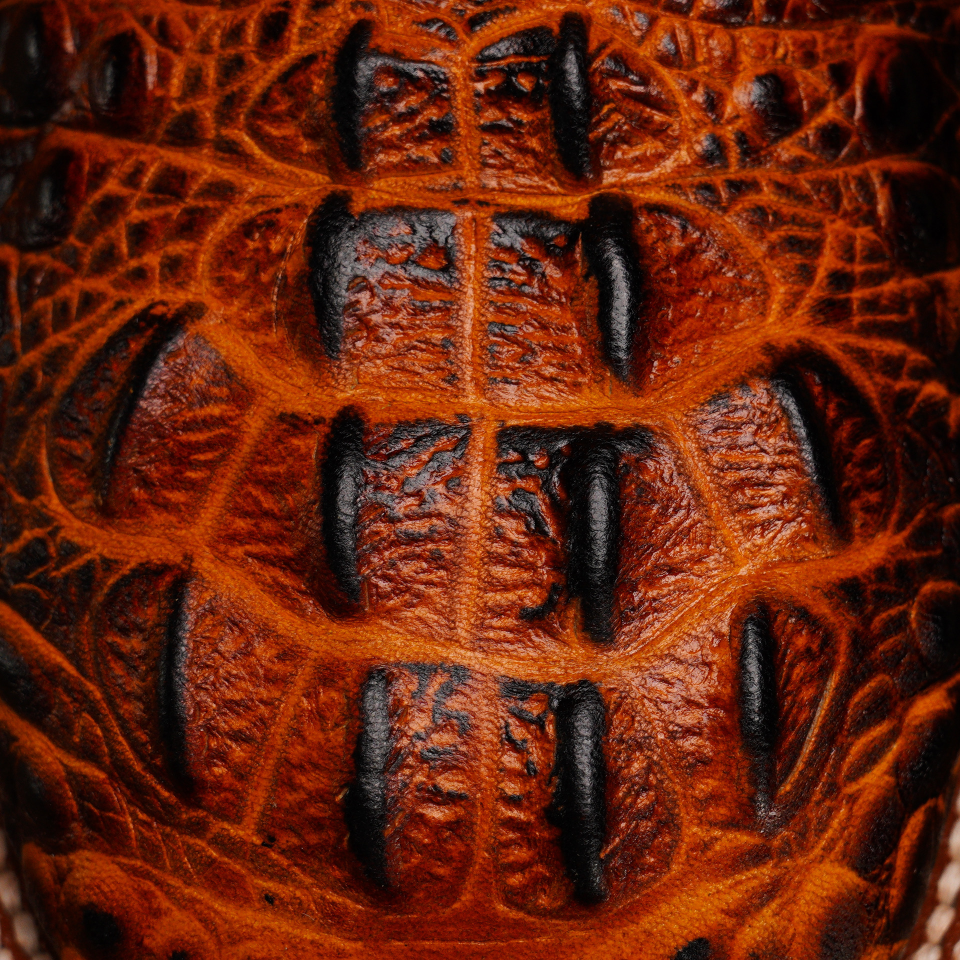 Cognac Caiman Neck - Square Toe - Image 4