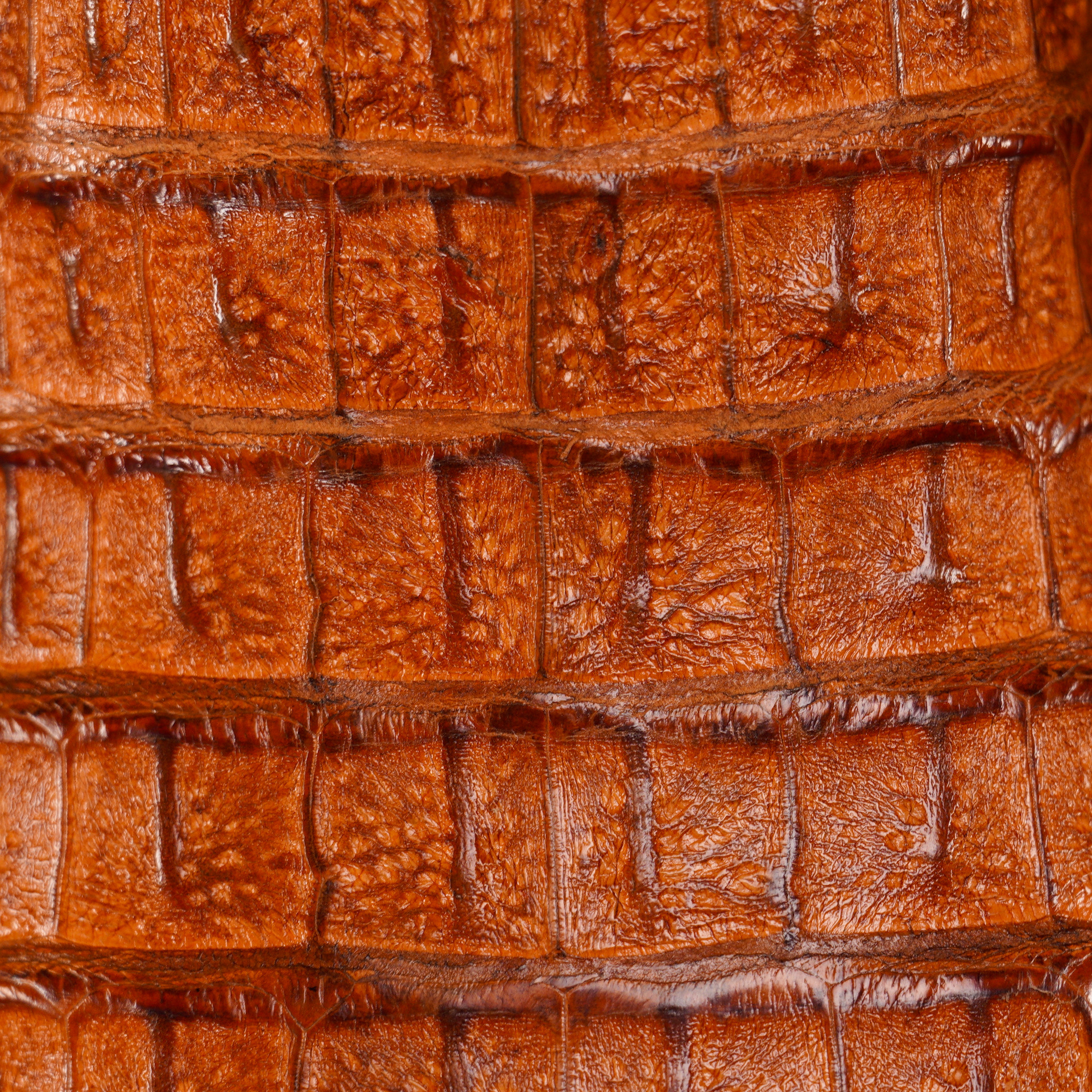 AUTHENTIC Brandy Caiman Horn Back – Square Toe - Image 4