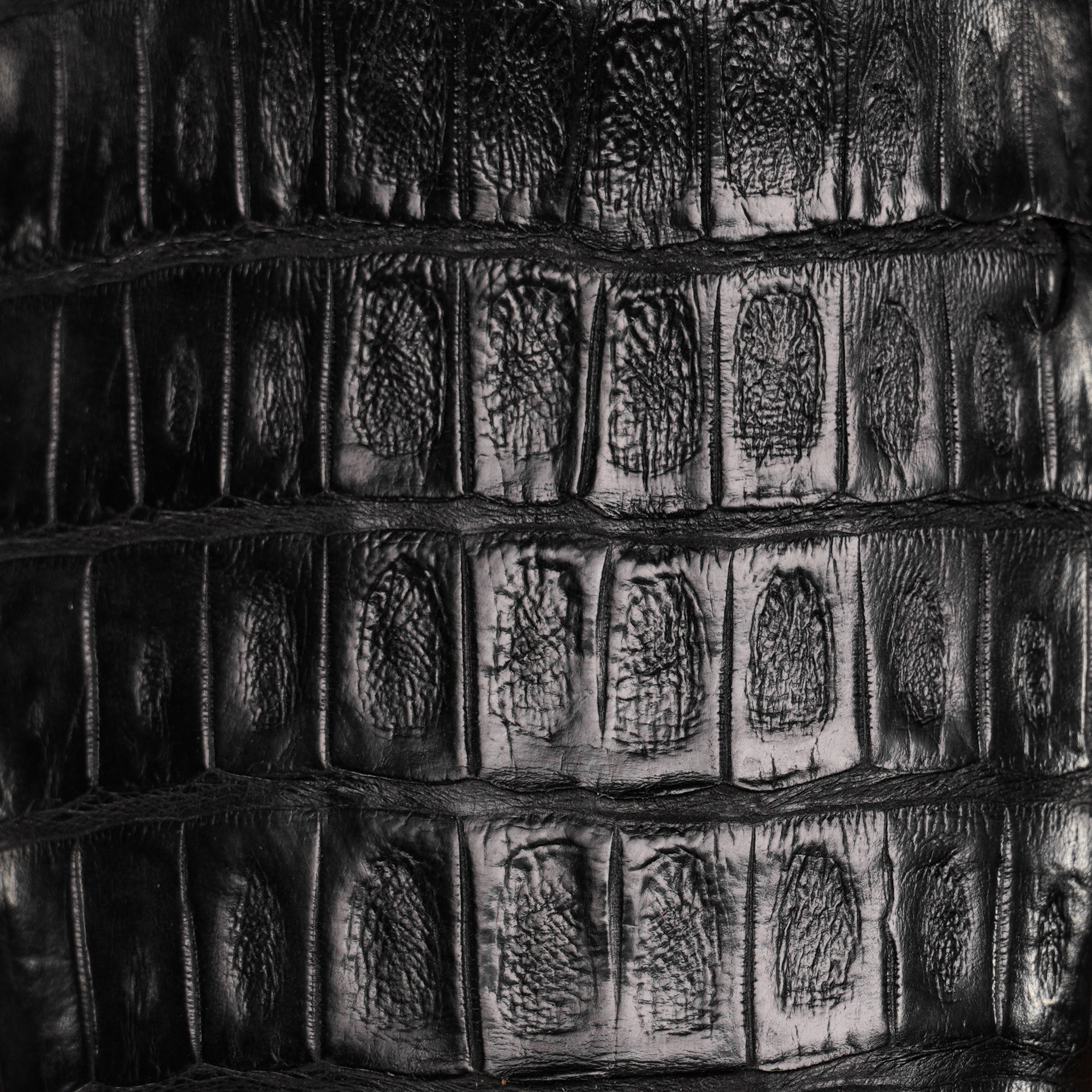 AUTHENTIC Black Caiman Belly – Square Toe - Image 3