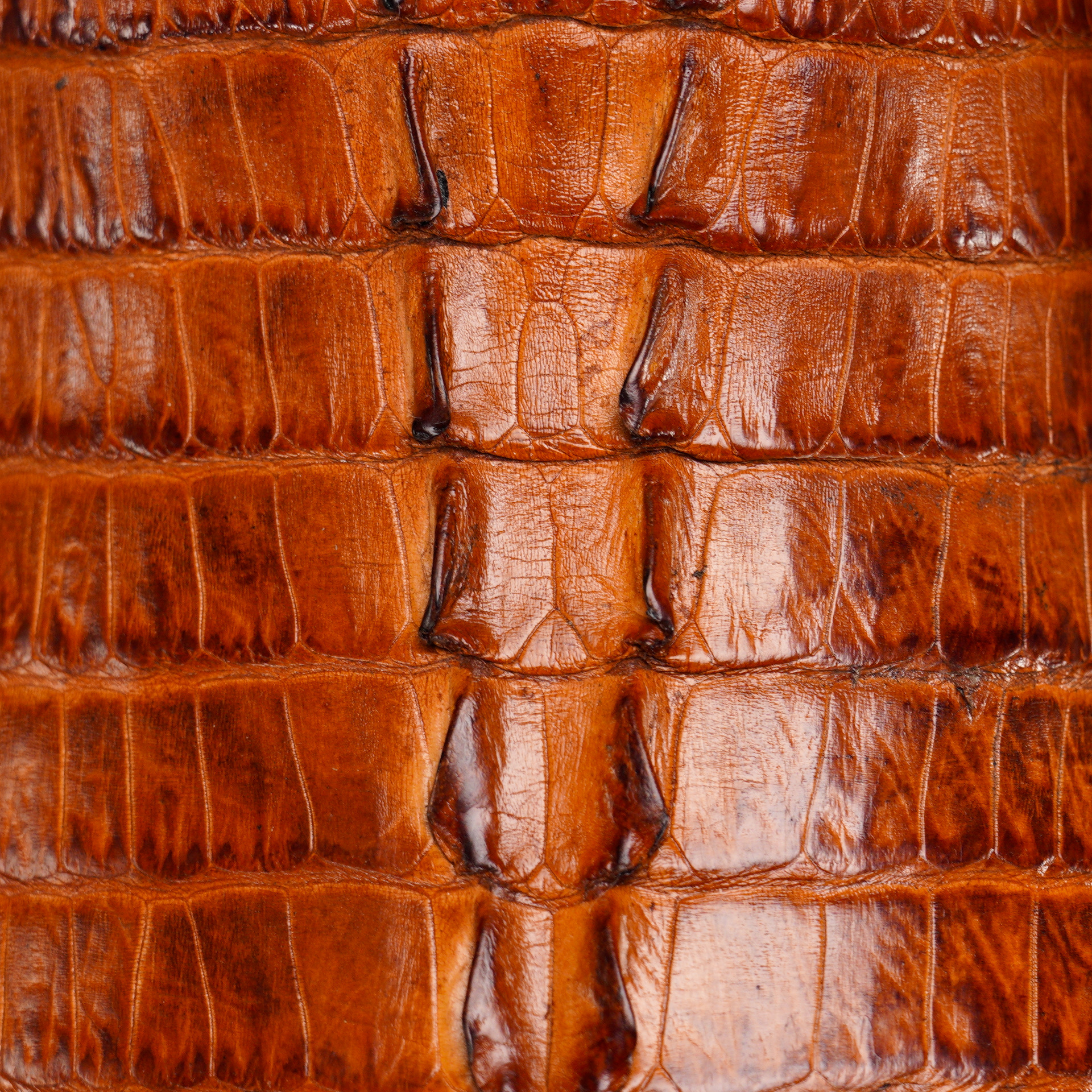 AUTHENTIC Brandy Caiman Tail – Square Toe - Image 4