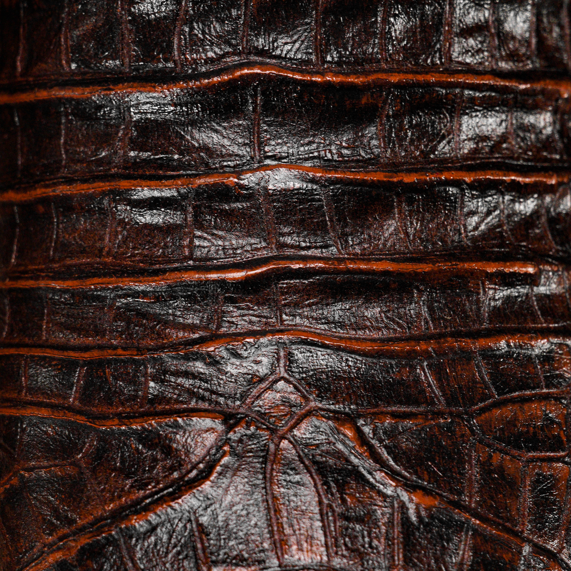 Cognac Caiman Belly - Square Toe - Image 4