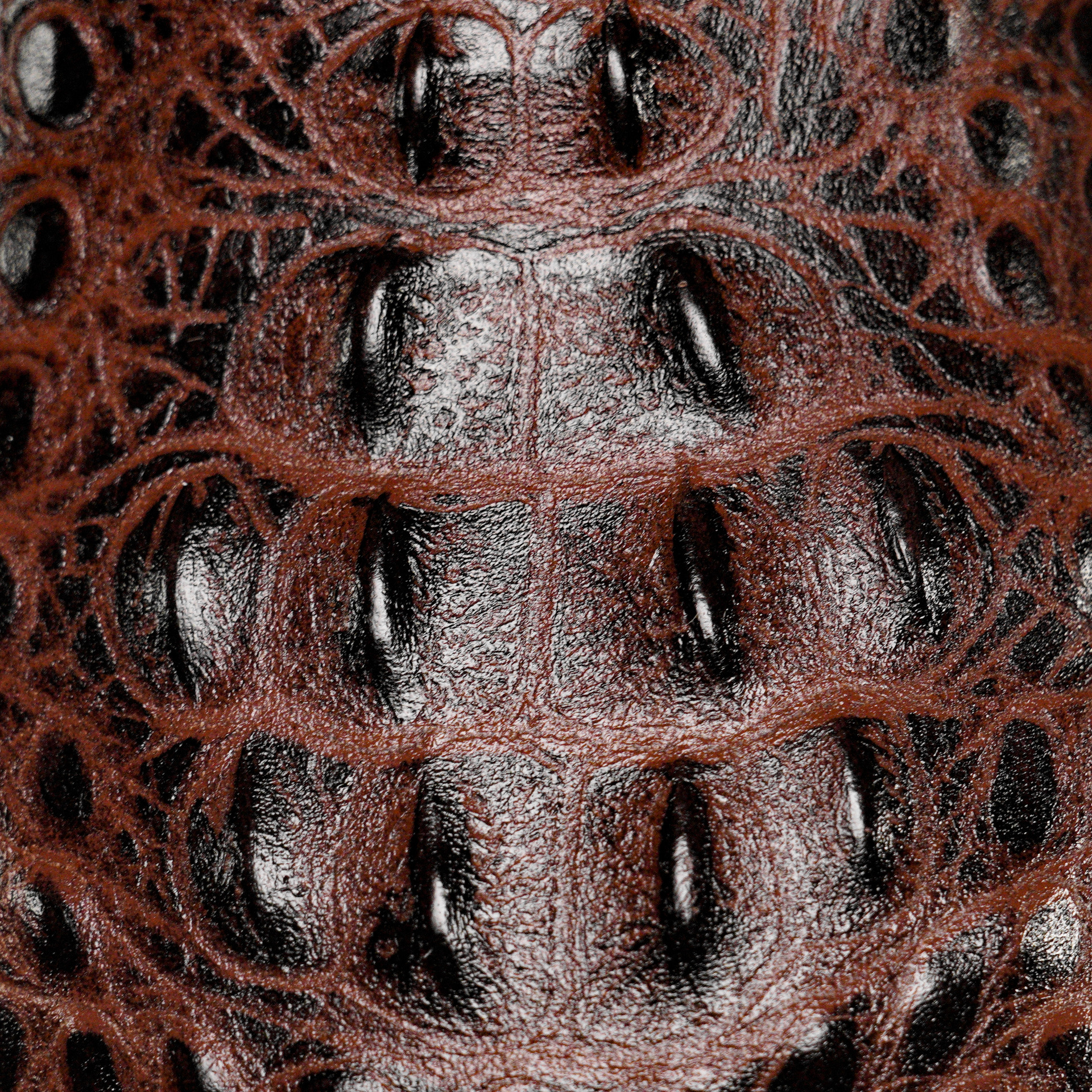 Brown Caiman Neck - Square Toe - Image 4