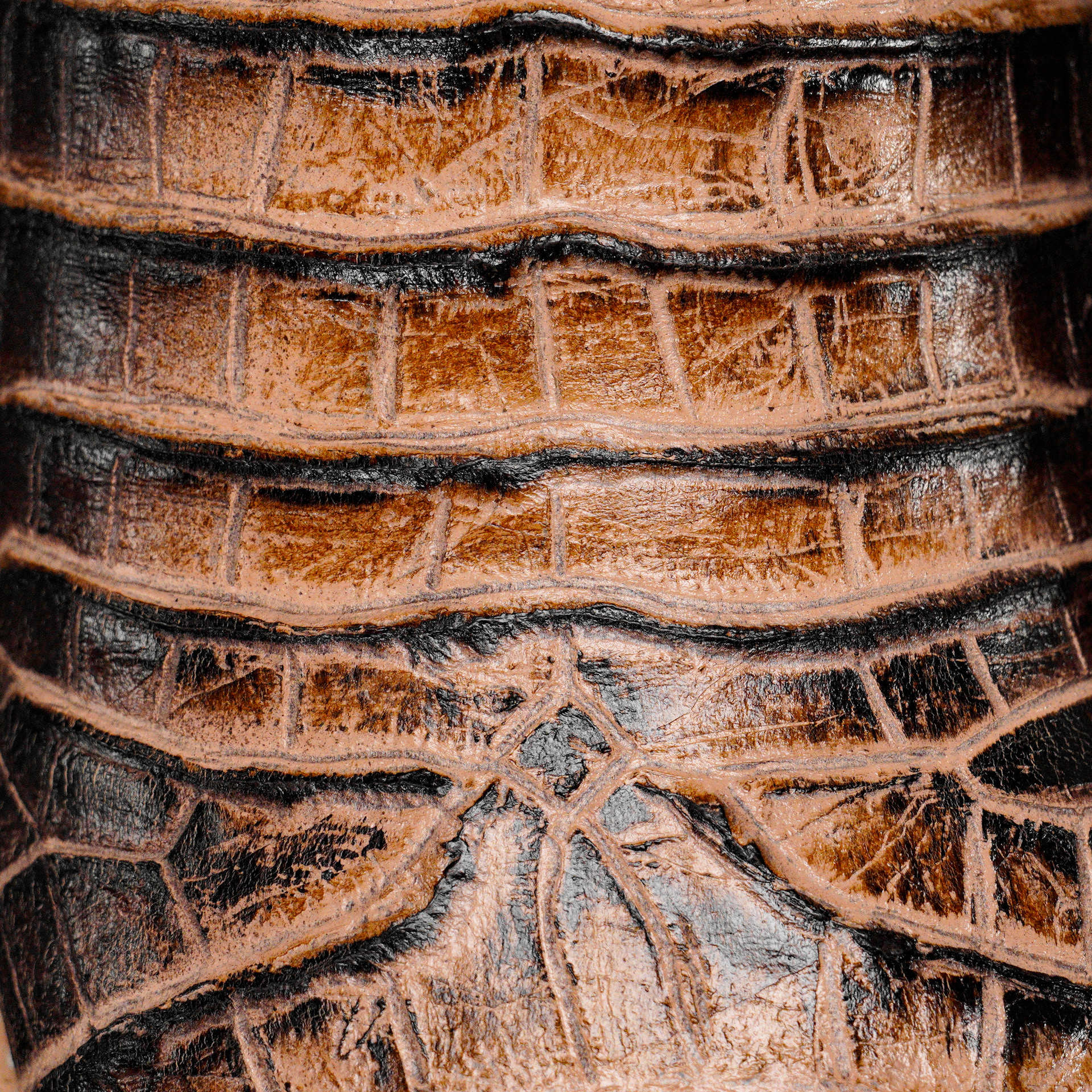 Orix Caiman Belly - Square Toe - Image 4