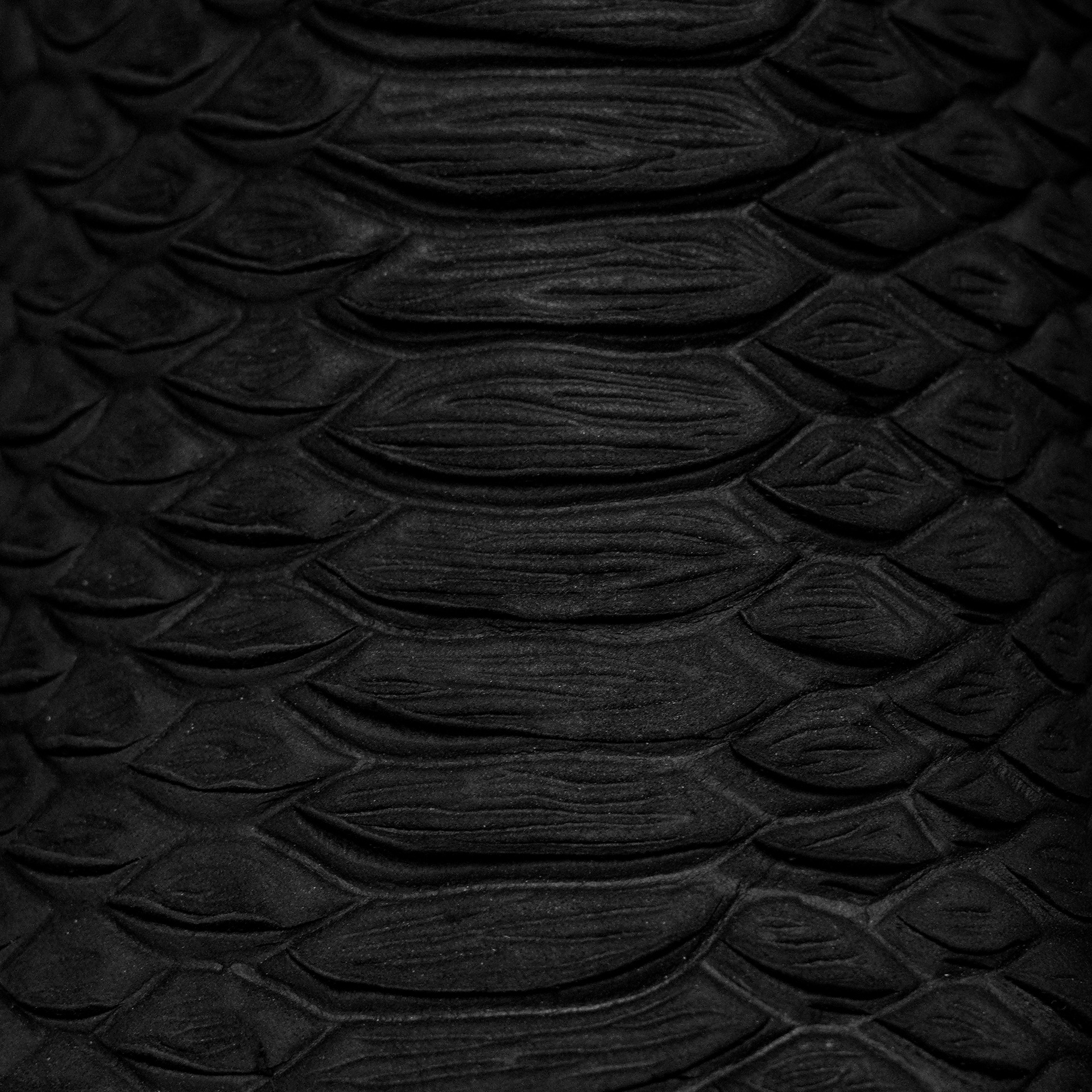 Matte Black Python – Rodeo Toe - Image 4