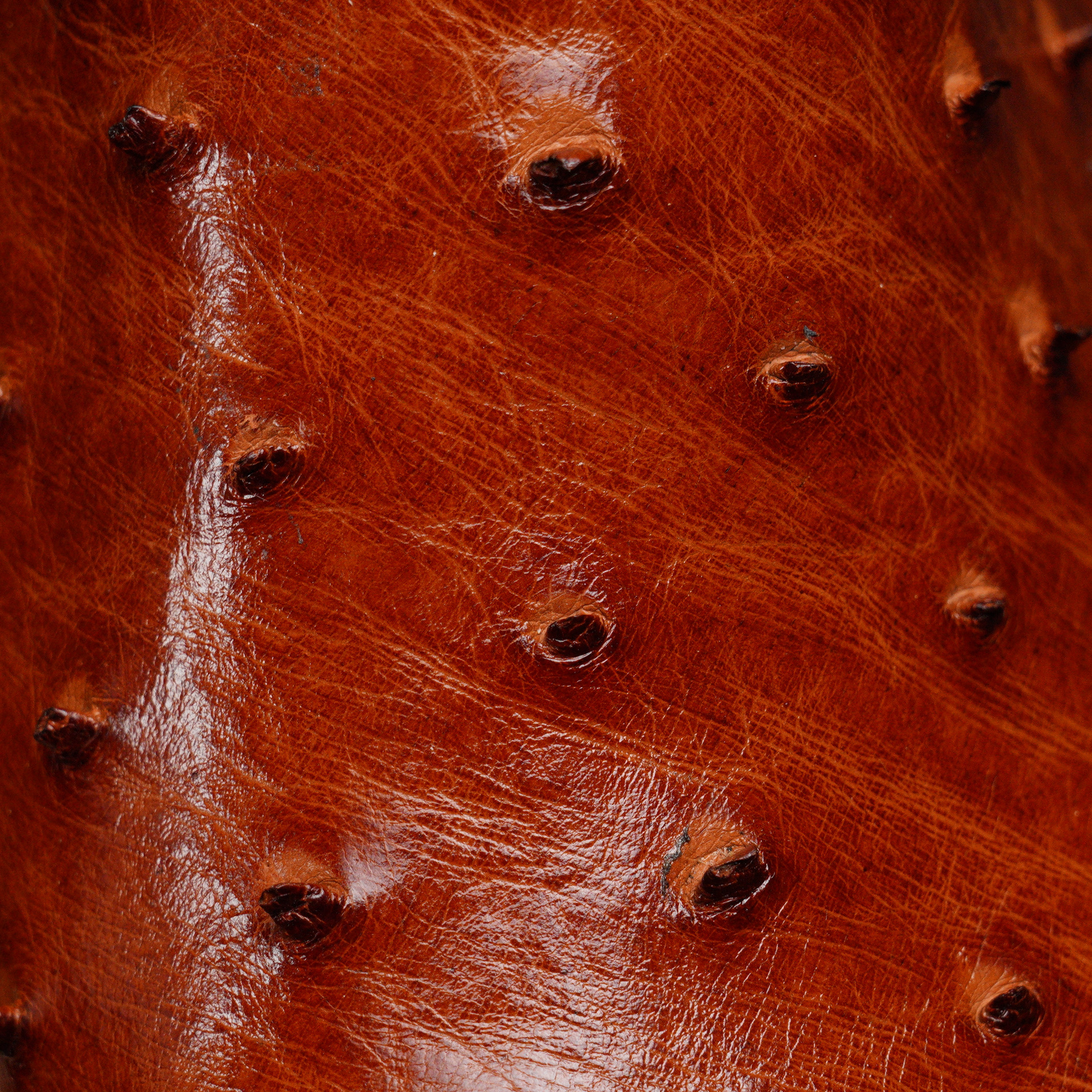 Genuine Cognac Full Quill Ostrich - Round Toe (FREE Belt & Wallet) - Image 4