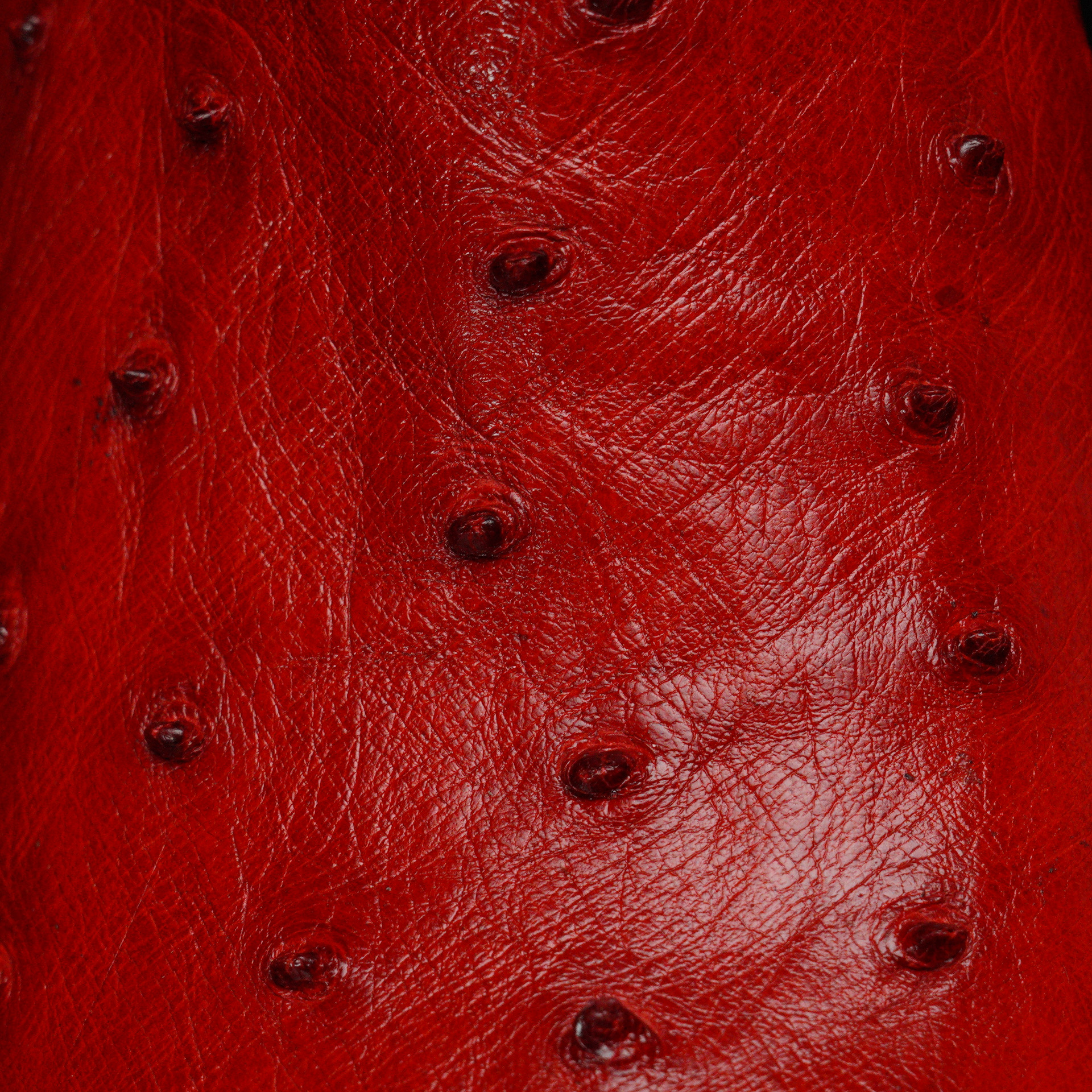 Genuine Red Full Quill Ostrich - Round Toe (FREE Belt & Wallet) - Image 4