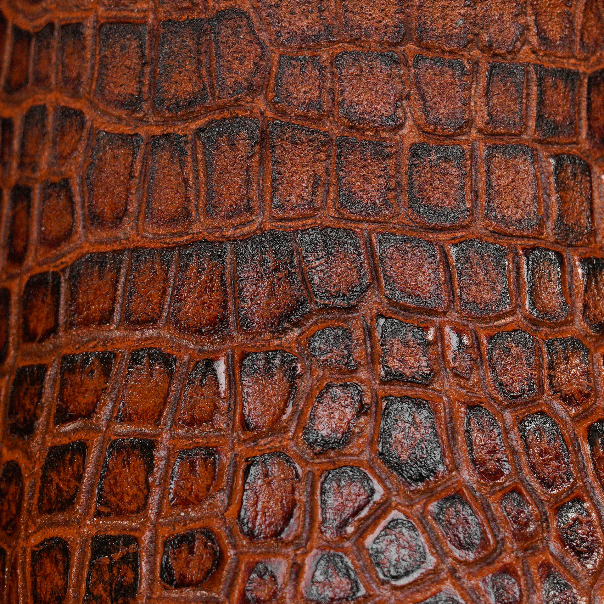 Cognac Alligator Belly - Square Toe - Image 4