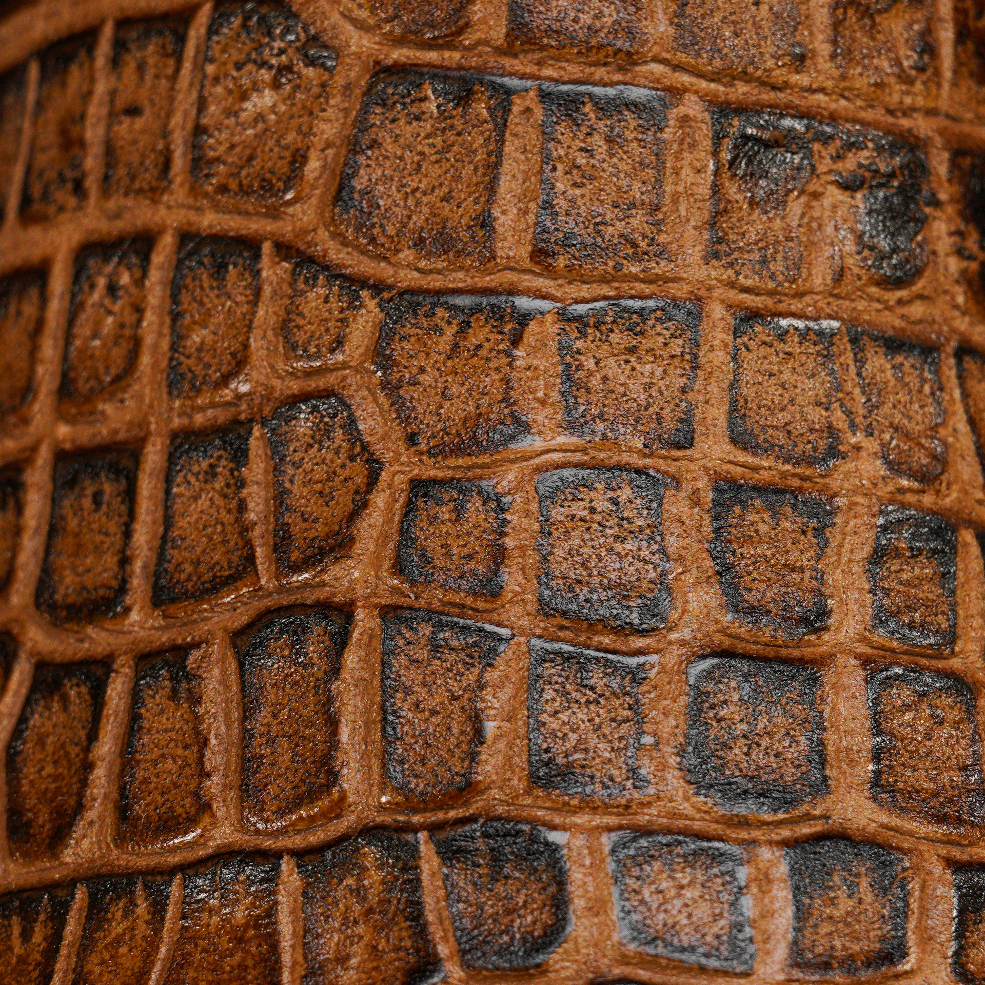 Honey Alligator Belly - Square Toe - Image 4