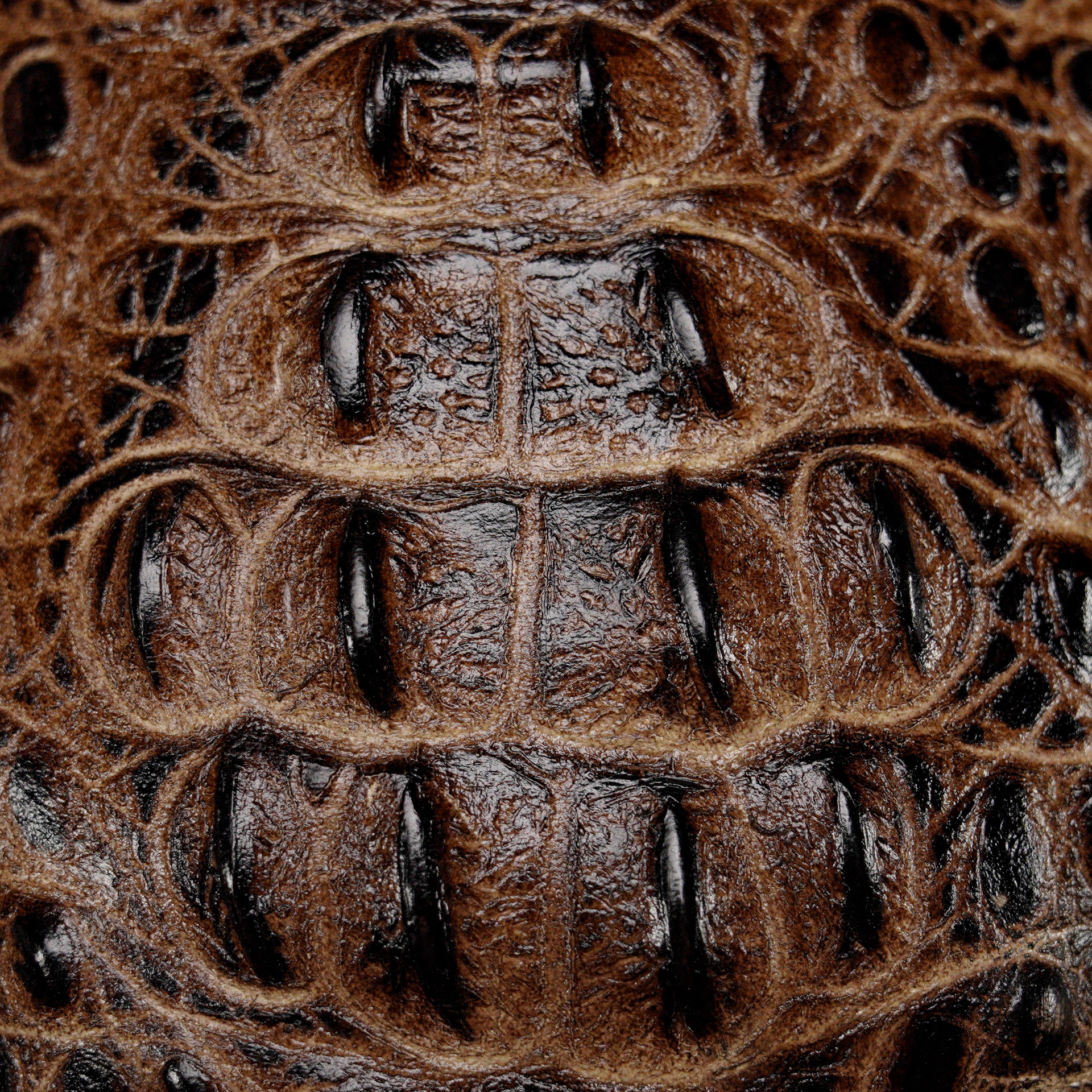 Desert Caiman Neck - Square Toe - Image 4