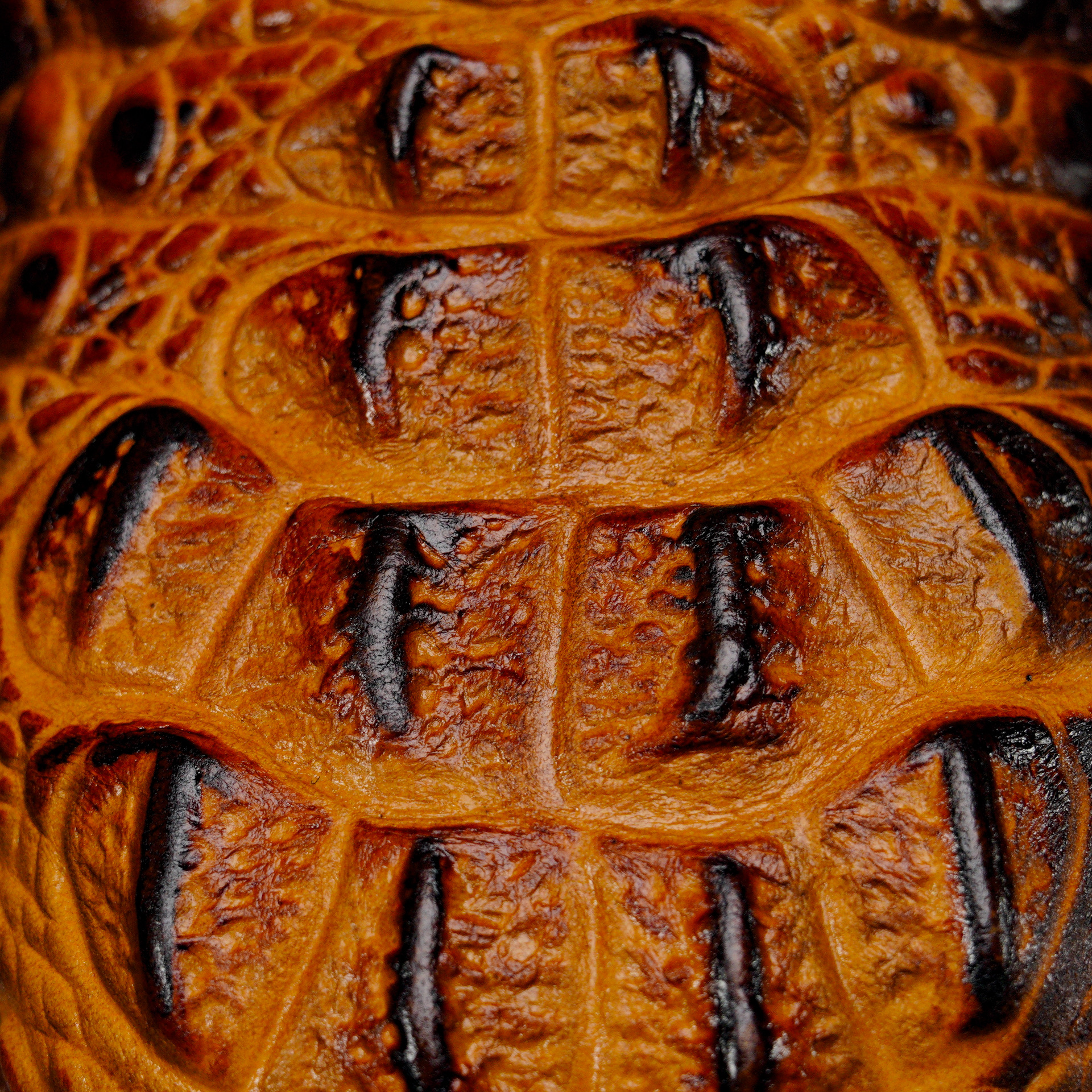 Honey Caiman Neck - Square Toe - Image 4