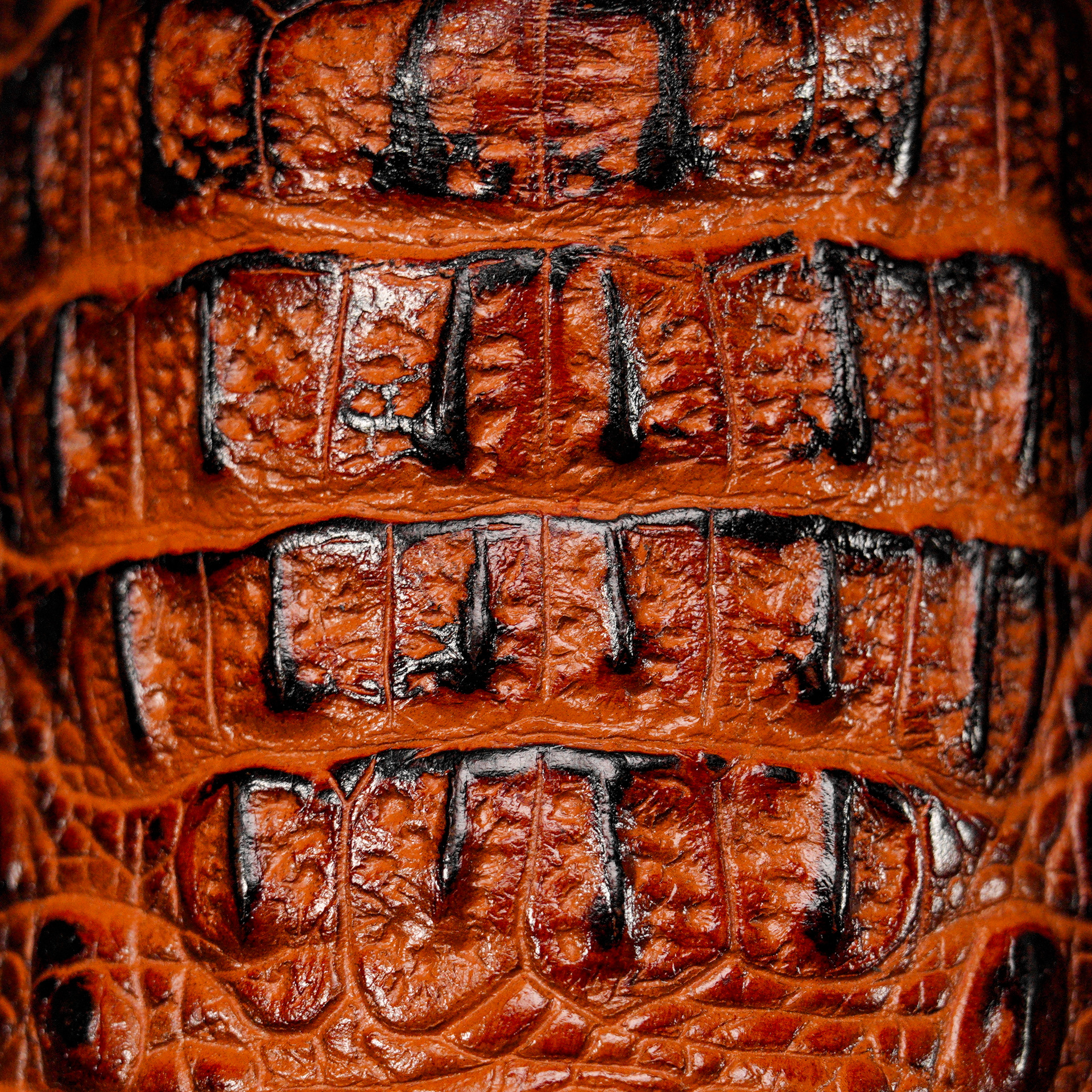 Cognac Caiman Neck - Square Toe - Image 4