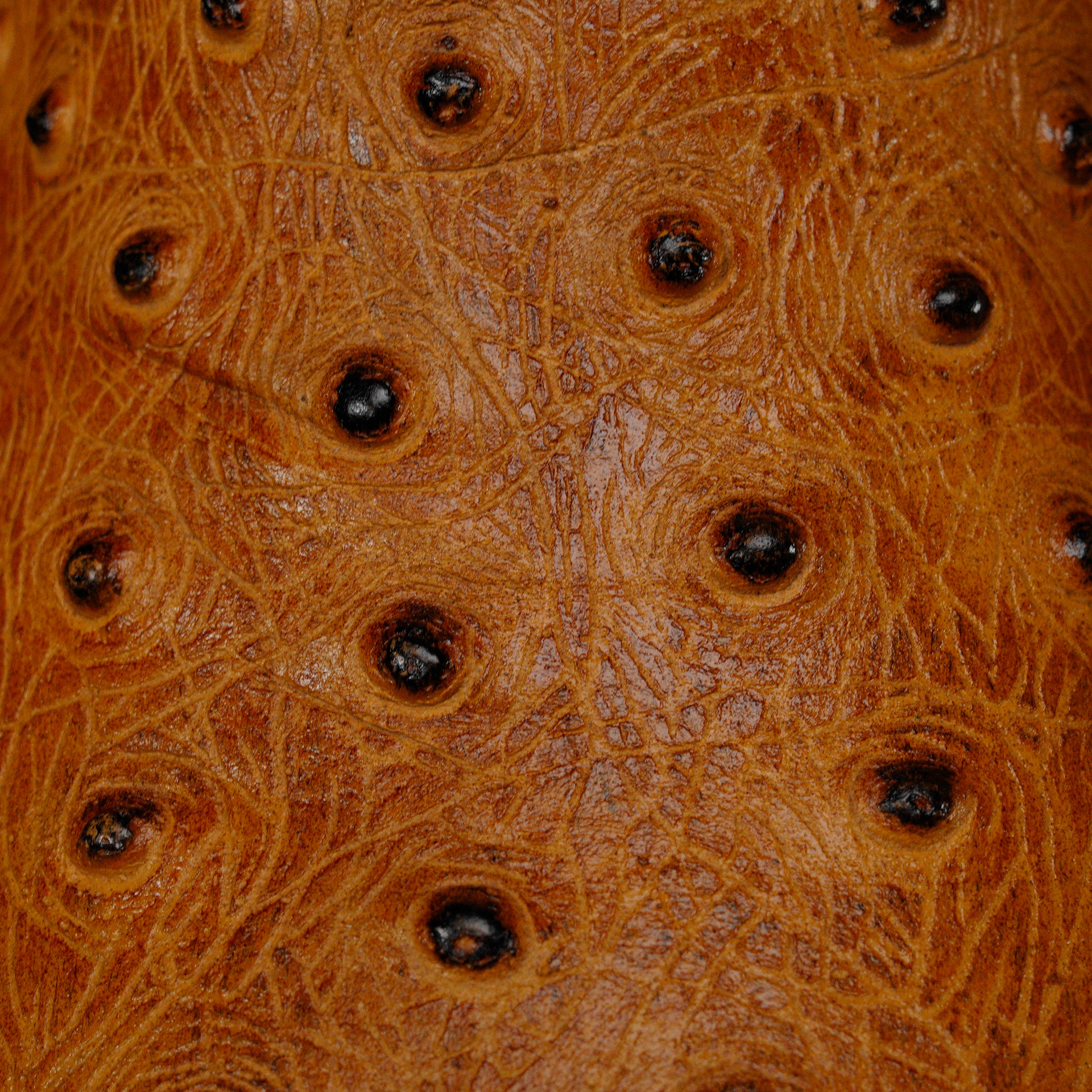 Honey Ostrich – Square Toe - Image 4