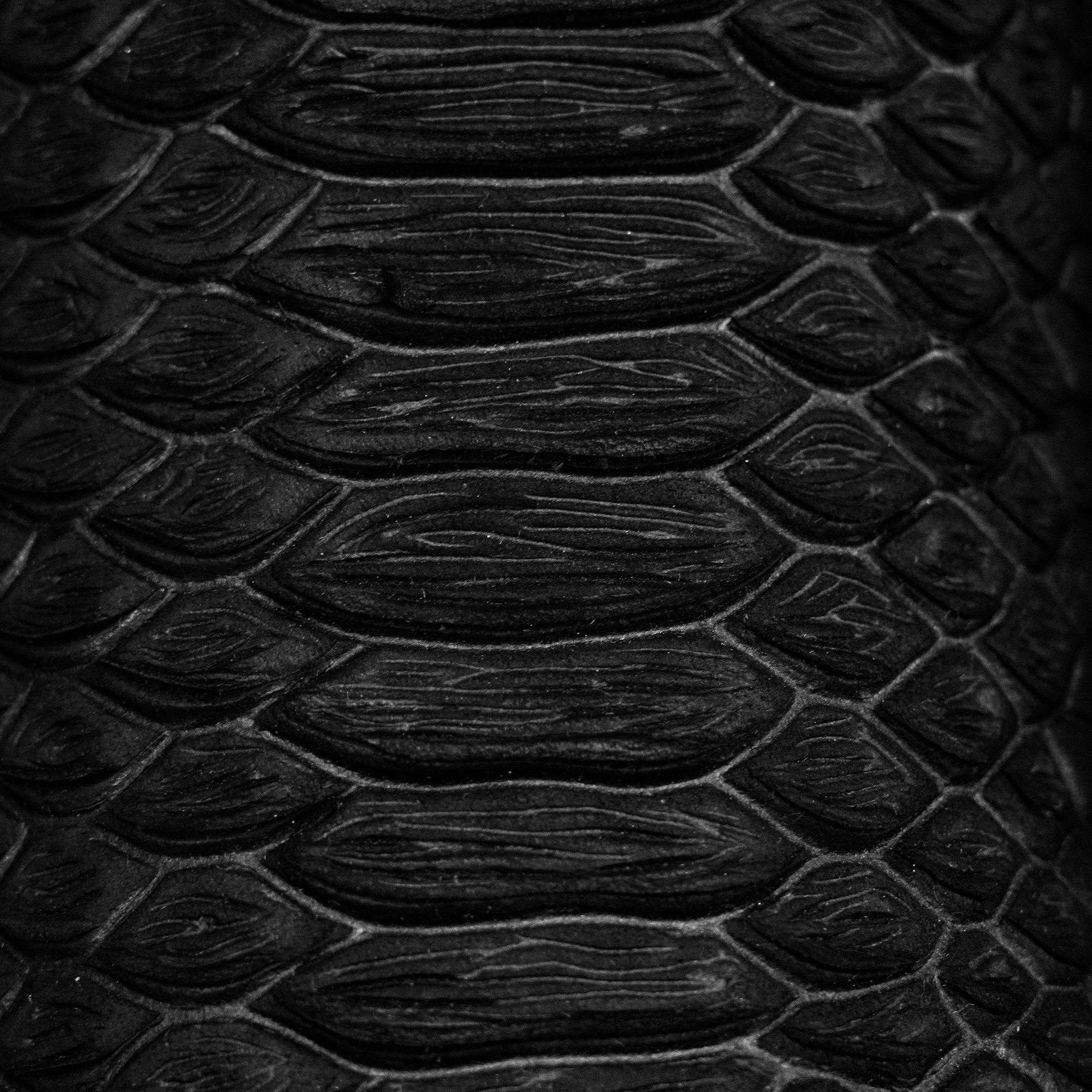 Matte Black Python – J Toe - Image 4