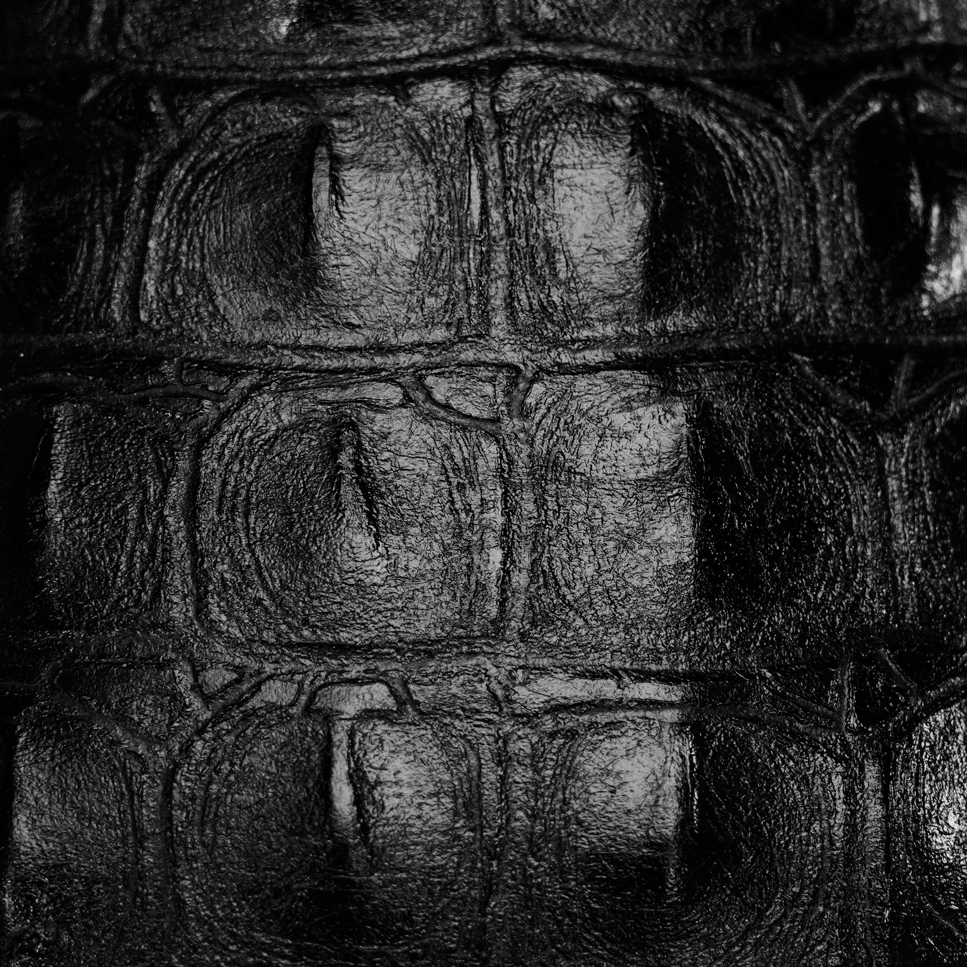 Black Caiman Horn Back - Square Toe - Image 4