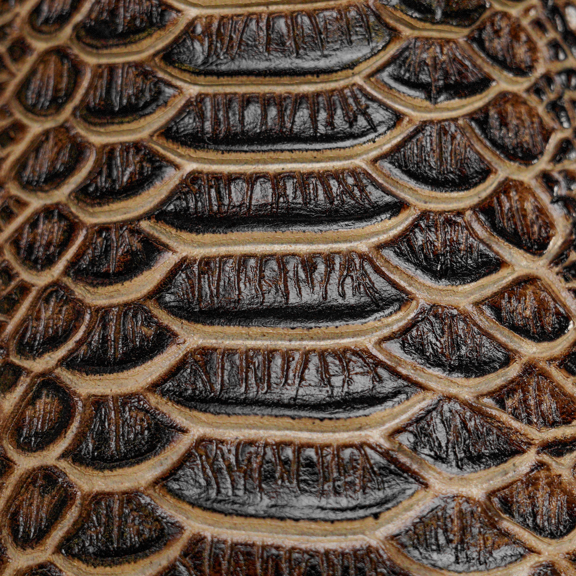 Orix Water Snake – Square Toe - Image 4