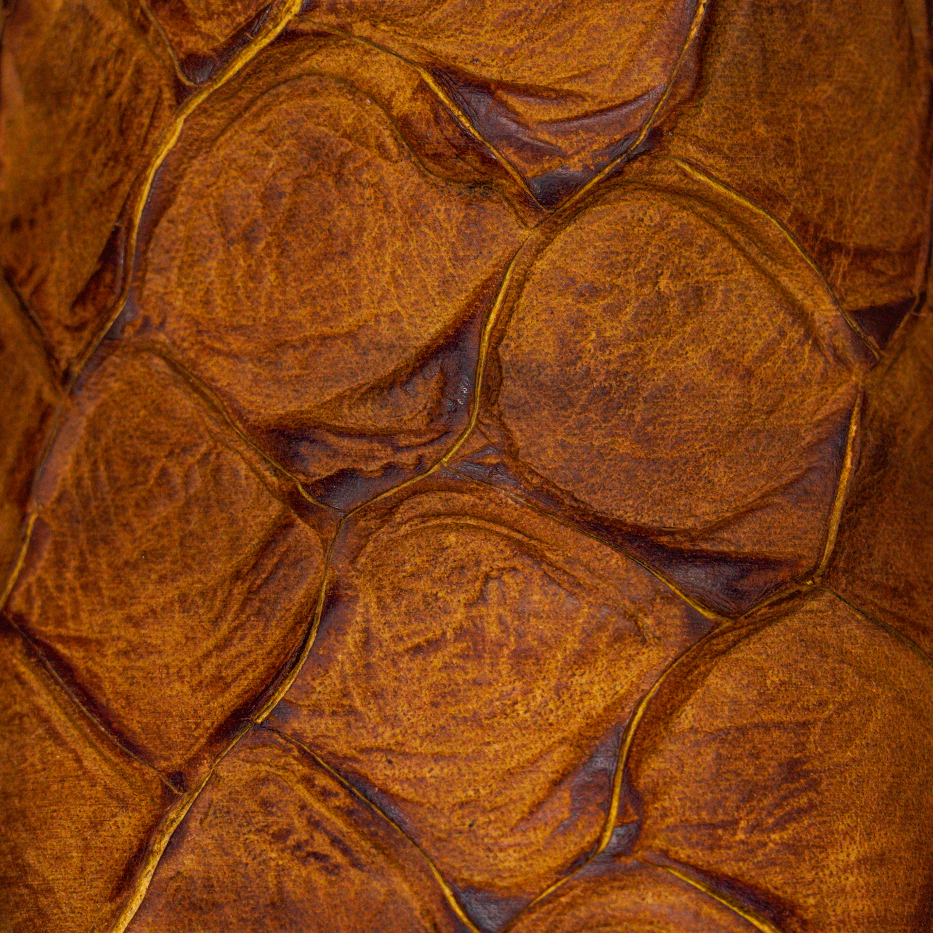 Matte Honey Fish Scale – Square Toe - Image 4