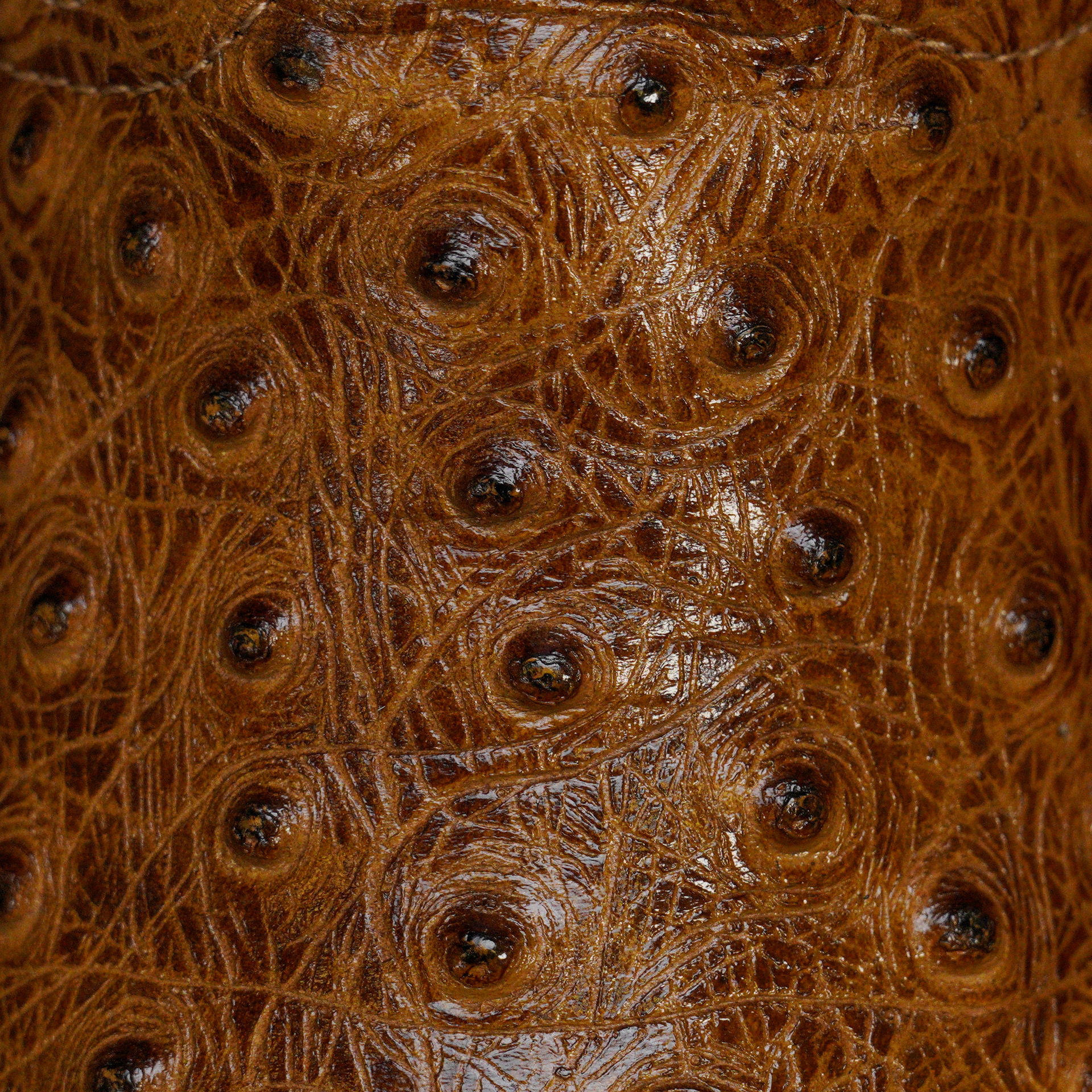 Honey Ostrich – Square Toe - Image 4