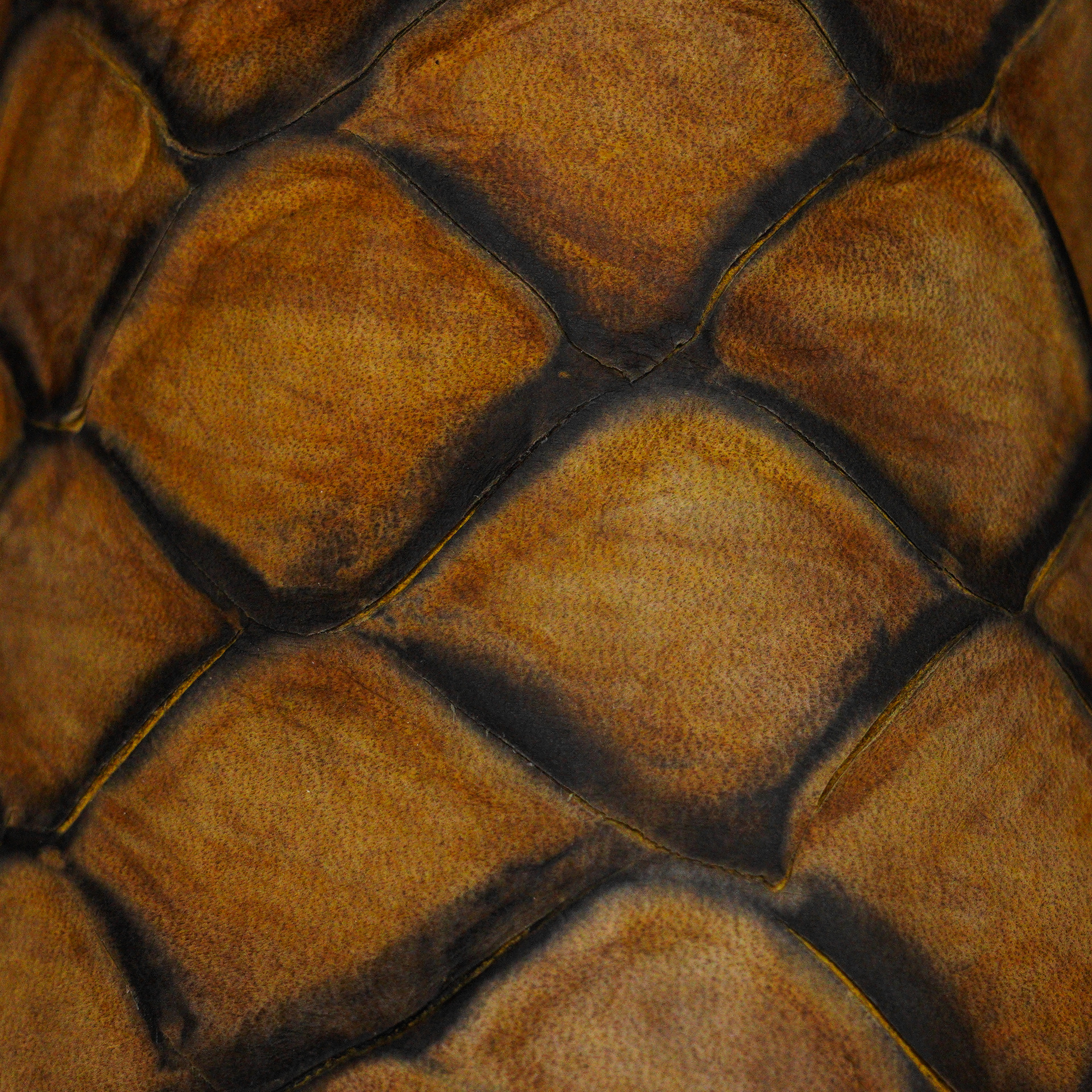 Matte Honey Fish Scale – Square Toe - Image 4